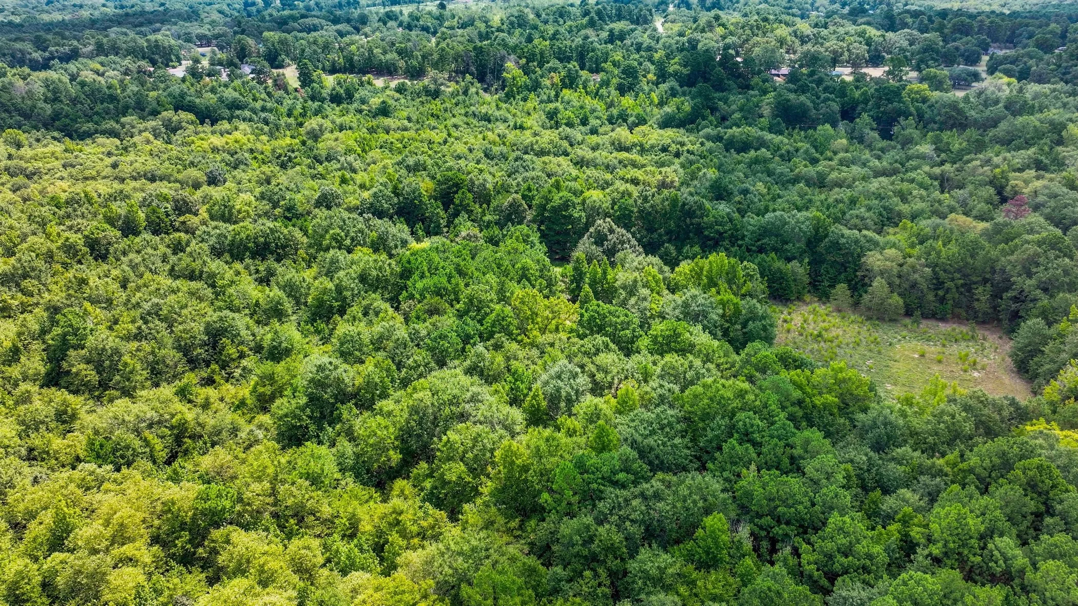 Unimproved Land For Sale in Gregg County , FM 3053 @ Samples Road, Kilgore, Texas 75662, 0, 0, Garage spaces, 0 Sqft, built in 0, mls#21350576, Real Estate Agent in Kilgore, Homes For Sale in Gregg county, Homes For Sale in Kilgore, Realtor in Kilgore Texas, Real Estate Brokerage Independent Realty Texas, Luminita Cordes Realtor