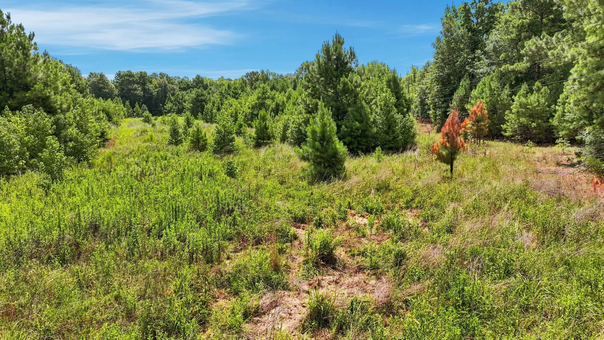 Unimproved Land For Sale in Gregg County , FM 3053 @ Samples Road, Kilgore, Texas 75662, 0, 0, Garage spaces, 0 Sqft, built in 0, mls#21350576, Real Estate Agent in Kilgore, Homes For Sale in Gregg county, Homes For Sale in Kilgore, Realtor in Kilgore Texas, Real Estate Brokerage Independent Realty Texas, Luminita Cordes Realtor