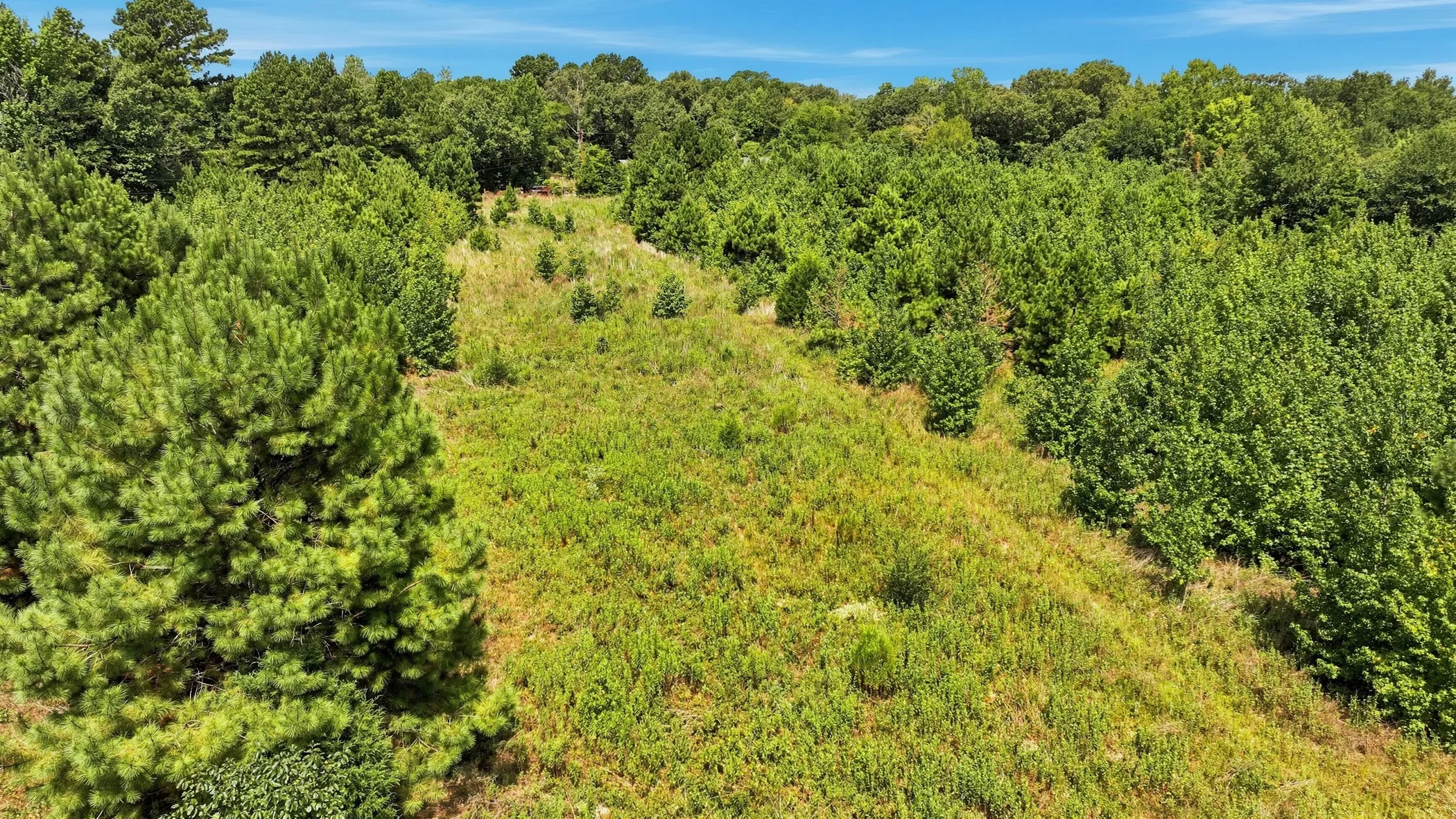 Unimproved Land For Sale in Gregg County , FM 3053 @ Samples Road, Kilgore, Texas 75662, 0, 0, Garage spaces, 0 Sqft, built in 0, mls#21350576, Real Estate Agent in Kilgore, Homes For Sale in Gregg county, Homes For Sale in Kilgore, Realtor in Kilgore Texas, Real Estate Brokerage Independent Realty Texas, Luminita Cordes Realtor