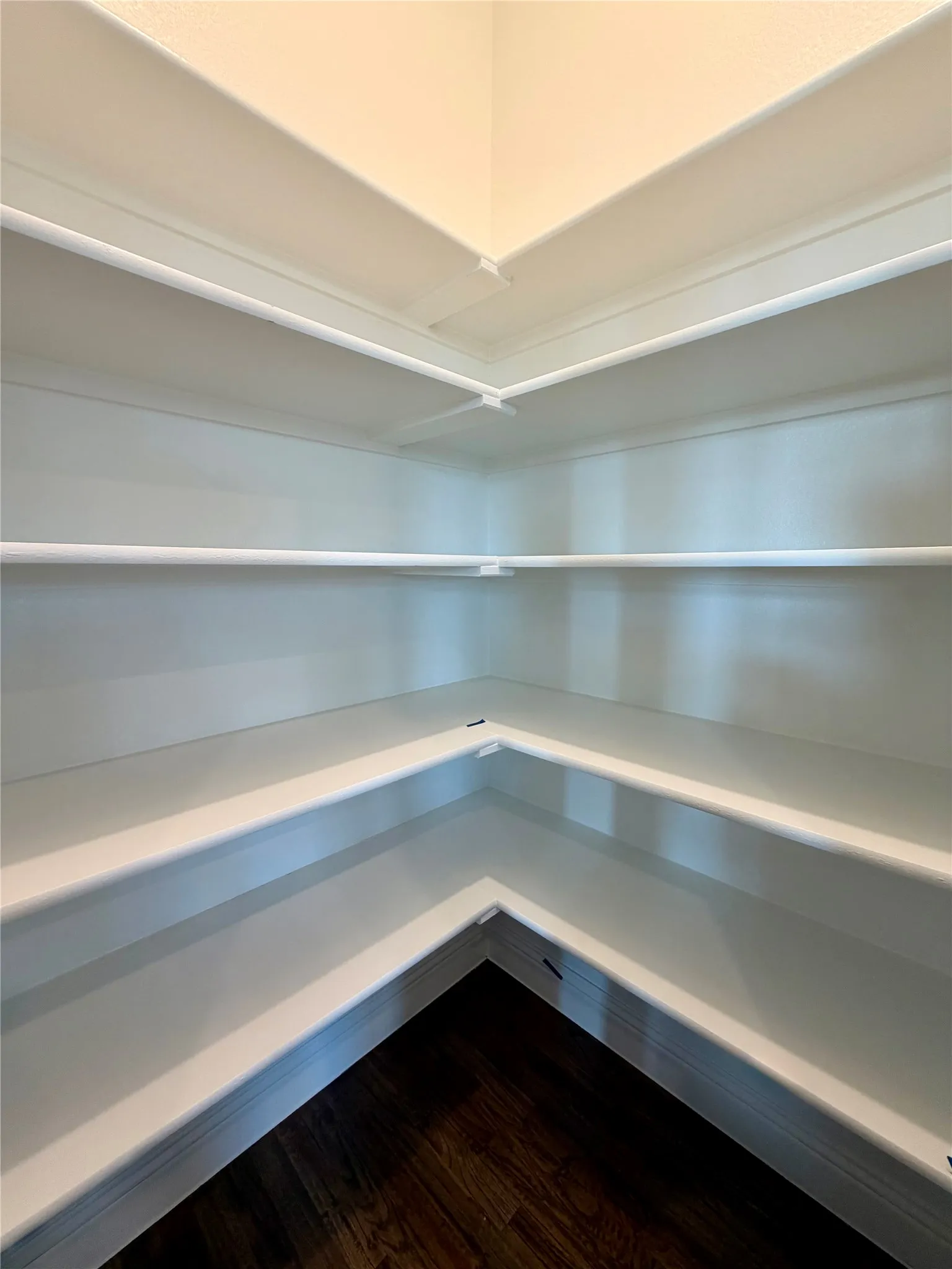 Huge corner pantry