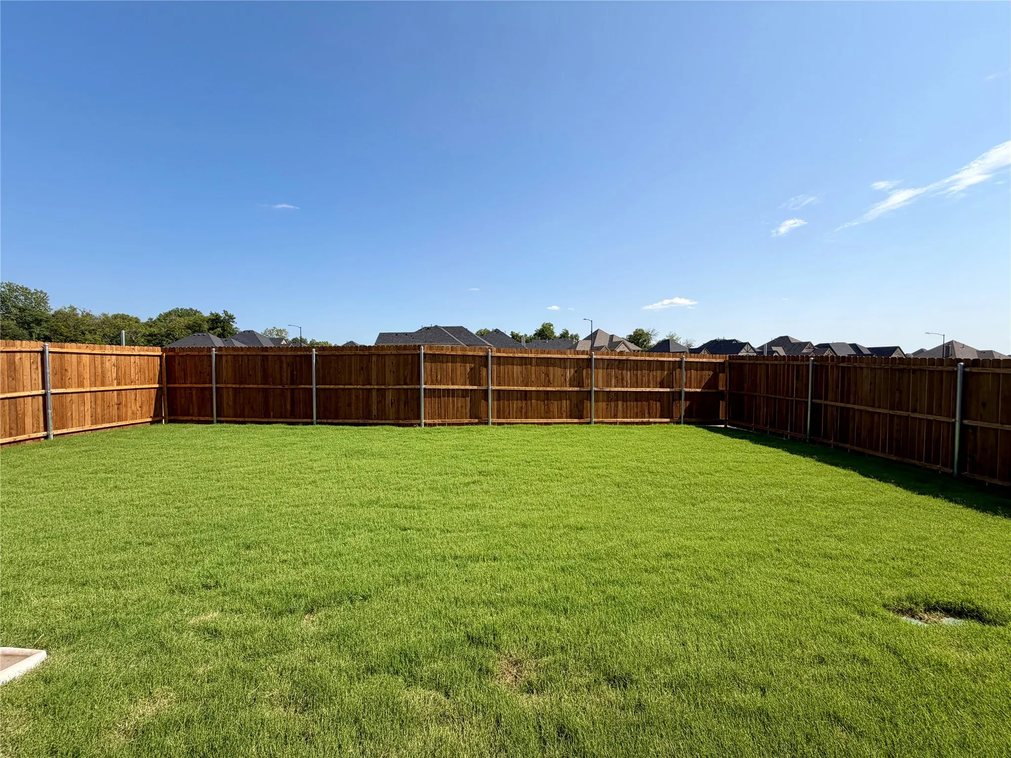 Great back yard