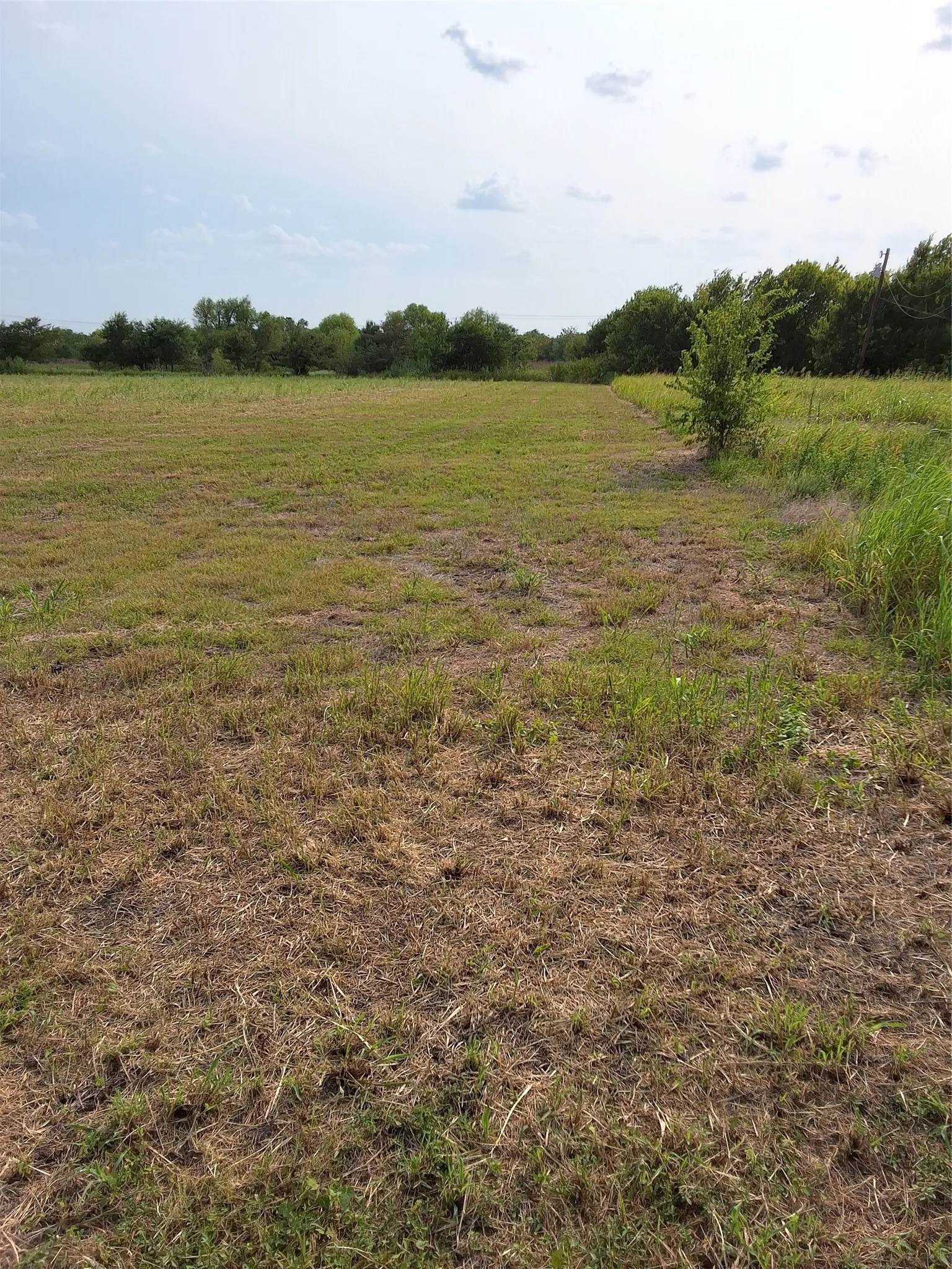 Improved Land For Sale in Mc Lennan County , 000 S Commerce Street, Mart, Texas 76664, 0, 0, Garage spaces, 0 Sqft, built in 0, mls#21350444, Real Estate Agent in Mart, Homes For Sale in Mc Lennan county, Homes For Sale in Mart, Realtor in Mart Texas, Real Estate Brokerage Independent Realty Texas, Luminita Cordes Realtor