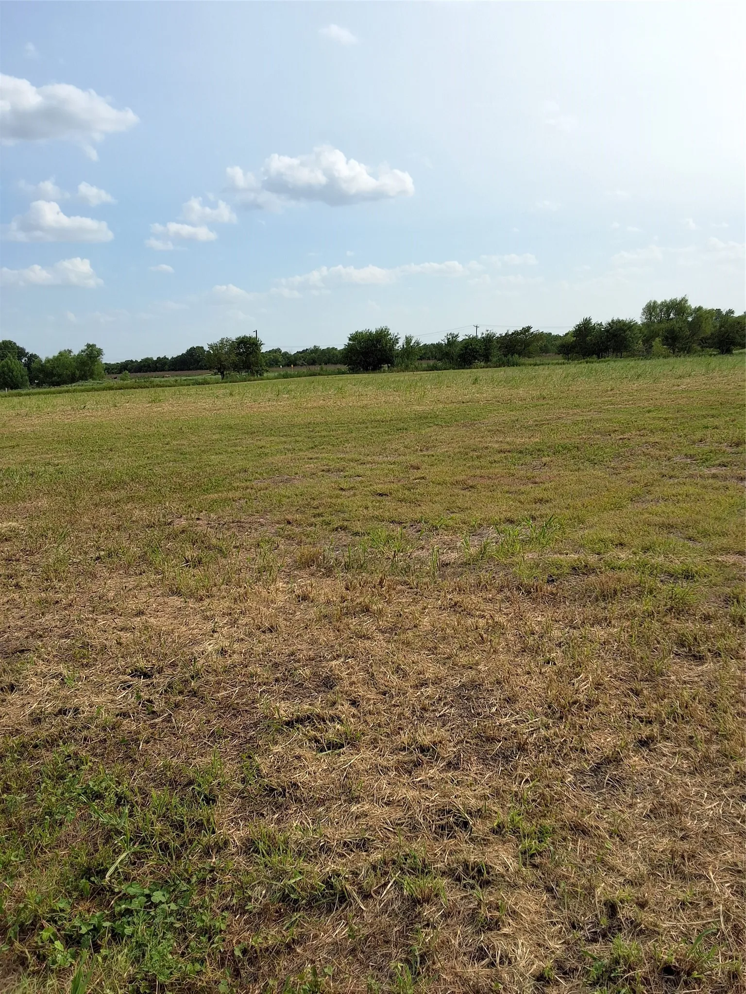 Improved Land For Sale in Mc Lennan County , 000 S Commerce Street, Mart, Texas 76664, 0, 0, Garage spaces, 0 Sqft, built in 0, mls#21350444, Real Estate Agent in Mart, Homes For Sale in Mc Lennan county, Homes For Sale in Mart, Realtor in Mart Texas, Real Estate Brokerage Independent Realty Texas, Luminita Cordes Realtor
