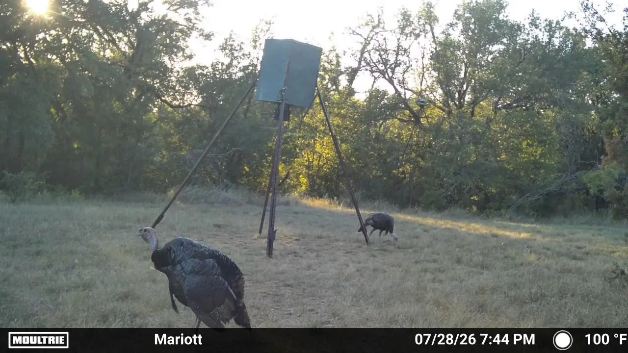 Ranch For Sale in Erath County , TBD County Road 507, Dublin, Texas 76446, 0, 0, Garage spaces, 0 Sqft, built in 0, mls#21348344, Real Estate Agent in Dublin, Homes For Sale in Erath county, Homes For Sale in Dublin, Realtor in Dublin Texas, Real Estate Brokerage Independent Realty Texas, Luminita Cordes Realtor