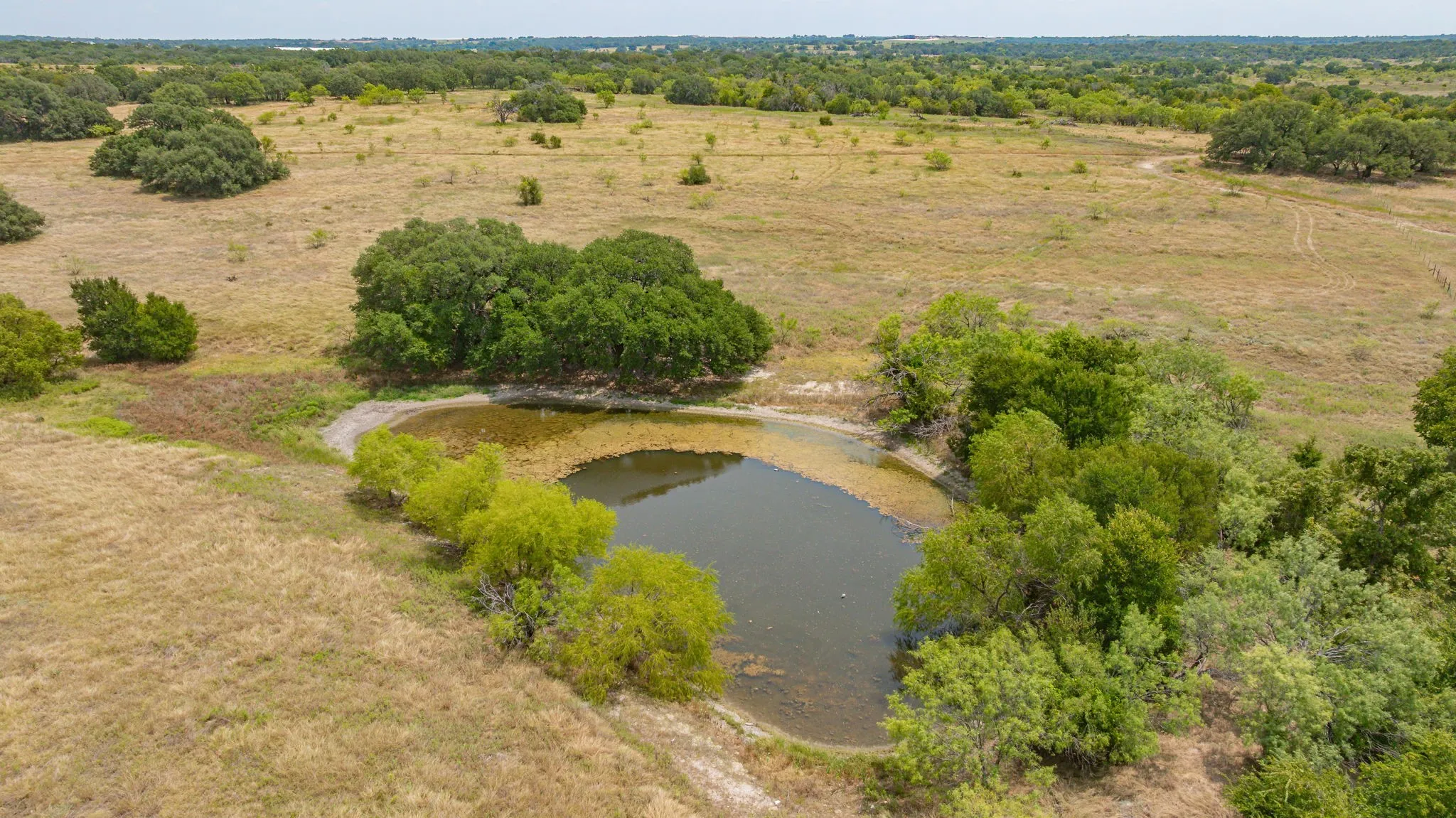 Ranch For Sale in Erath County , TBD County Road 507, Dublin, Texas 76446, 0, 0, Garage spaces, 0 Sqft, built in 0, mls#21348344, Real Estate Agent in Dublin, Homes For Sale in Erath county, Homes For Sale in Dublin, Realtor in Dublin Texas, Real Estate Brokerage Independent Realty Texas, Luminita Cordes Realtor