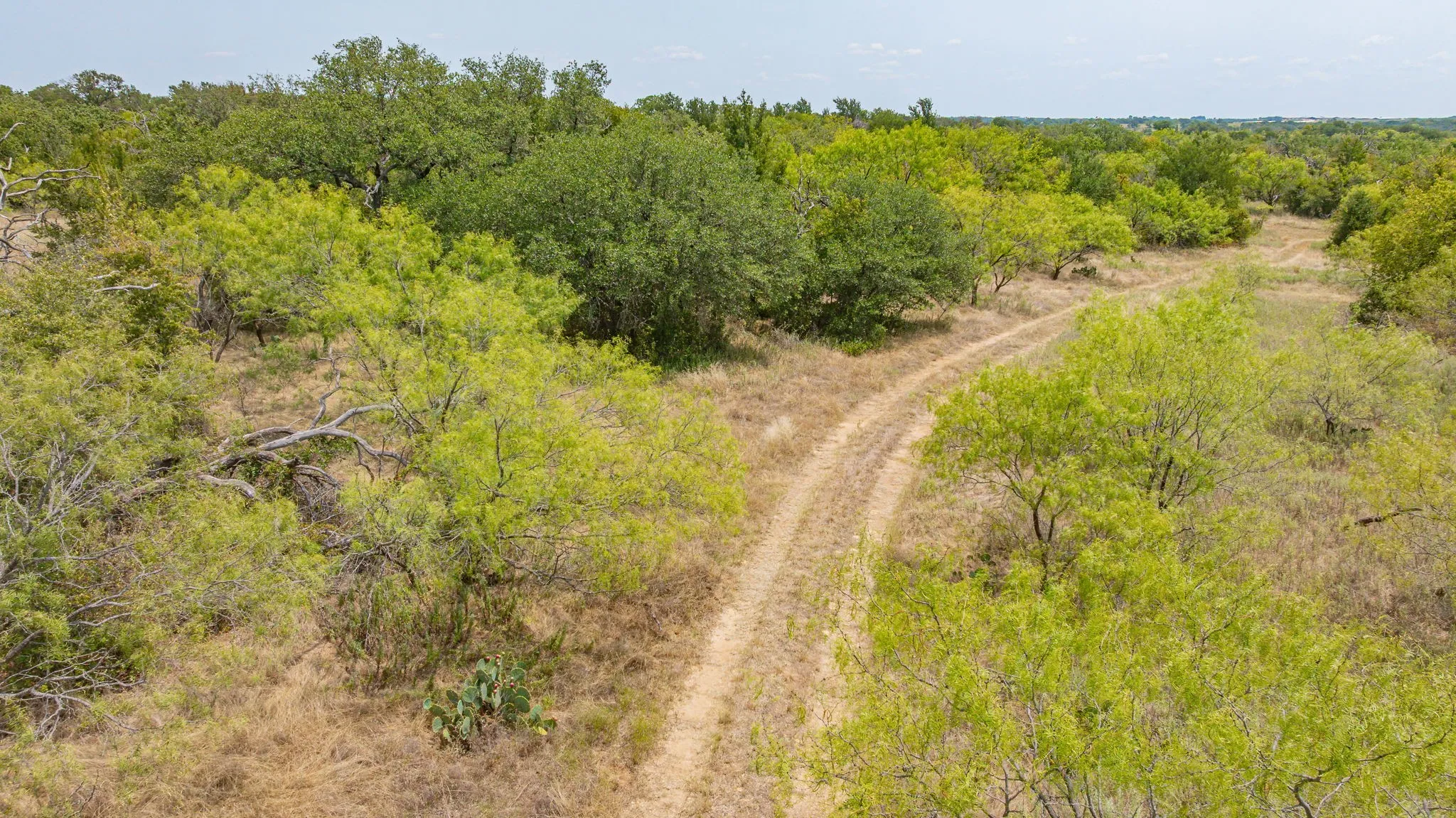Ranch For Sale in Erath County , TBD County Road 507, Dublin, Texas 76446, 0, 0, Garage spaces, 0 Sqft, built in 0, mls#21348344, Real Estate Agent in Dublin, Homes For Sale in Erath county, Homes For Sale in Dublin, Realtor in Dublin Texas, Real Estate Brokerage Independent Realty Texas, Luminita Cordes Realtor