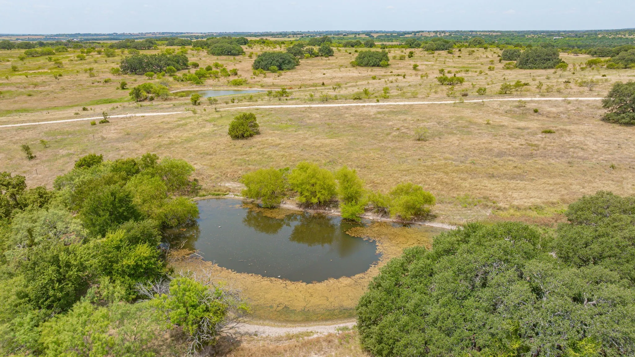 Ranch For Sale in Erath County , TBD County Road 507, Dublin, Texas 76446, 0, 0, Garage spaces, 0 Sqft, built in 0, mls#21348344, Real Estate Agent in Dublin, Homes For Sale in Erath county, Homes For Sale in Dublin, Realtor in Dublin Texas, Real Estate Brokerage Independent Realty Texas, Luminita Cordes Realtor