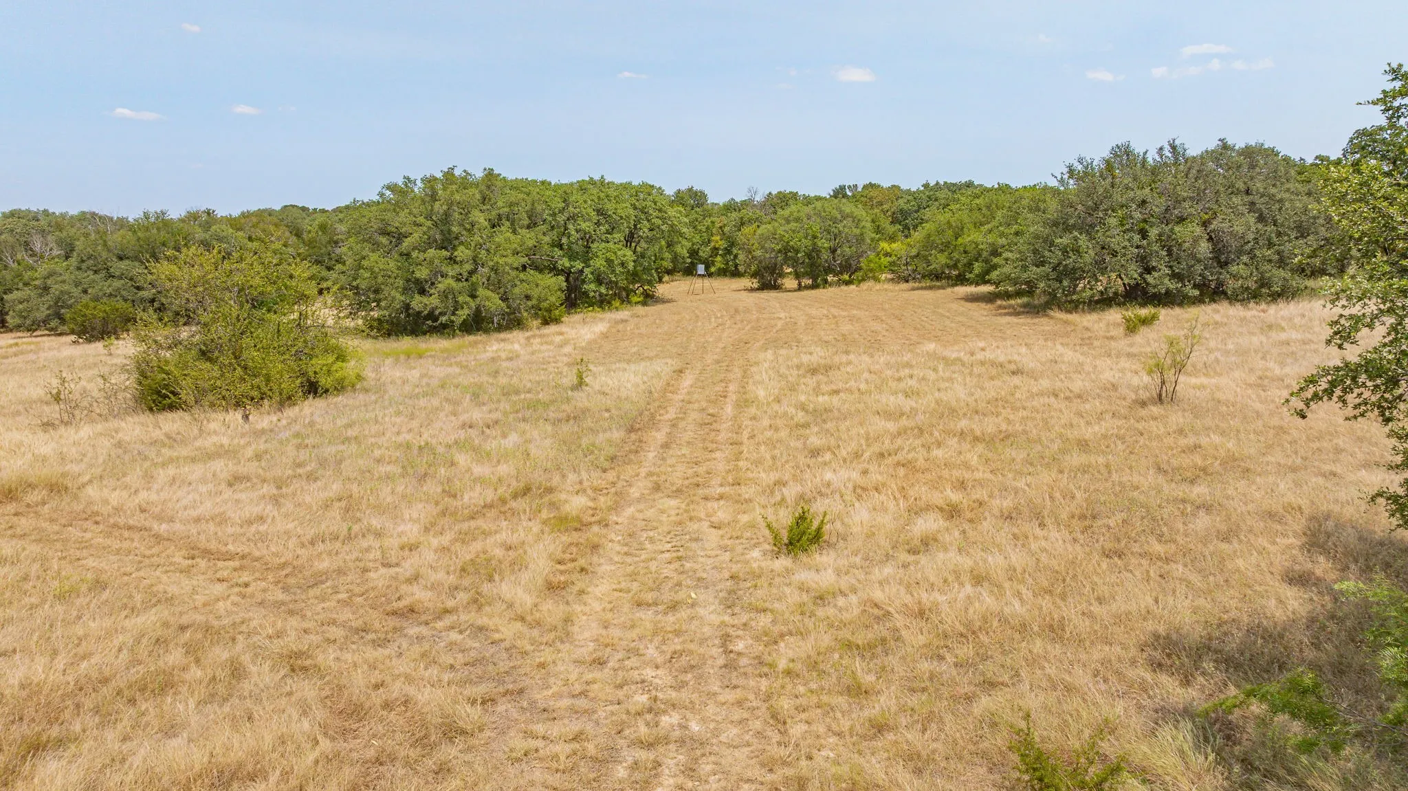 Ranch For Sale in Erath County , TBD County Road 507, Dublin, Texas 76446, 0, 0, Garage spaces, 0 Sqft, built in 0, mls#21348344, Real Estate Agent in Dublin, Homes For Sale in Erath county, Homes For Sale in Dublin, Realtor in Dublin Texas, Real Estate Brokerage Independent Realty Texas, Luminita Cordes Realtor