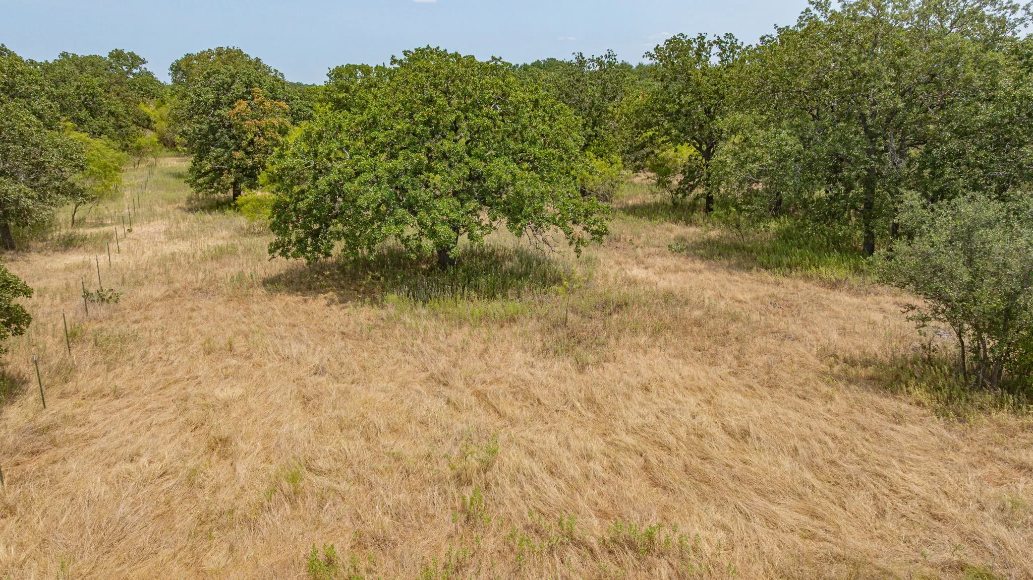 Ranch For Sale in Erath County , TBD County Road 507, Dublin, Texas 76446, 0, 0, Garage spaces, 0 Sqft, built in 0, mls#21348344, Real Estate Agent in Dublin, Homes For Sale in Erath county, Homes For Sale in Dublin, Realtor in Dublin Texas, Real Estate Brokerage Independent Realty Texas, Luminita Cordes Realtor