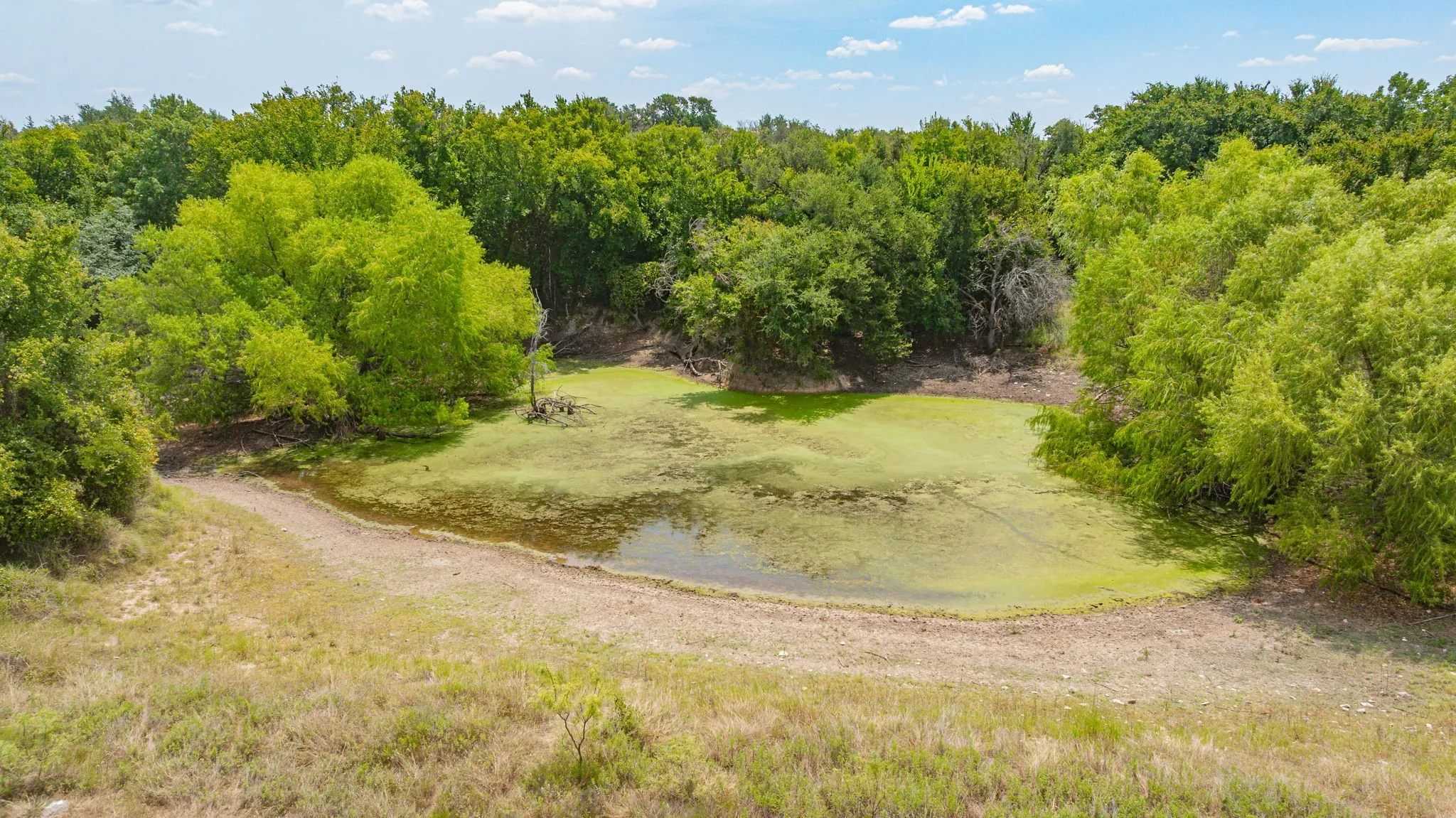 Ranch For Sale in Erath County , TBD County Road 507, Dublin, Texas 76446, 0, 0, Garage spaces, 0 Sqft, built in 0, mls#21348344, Real Estate Agent in Dublin, Homes For Sale in Erath county, Homes For Sale in Dublin, Realtor in Dublin Texas, Real Estate Brokerage Independent Realty Texas, Luminita Cordes Realtor
