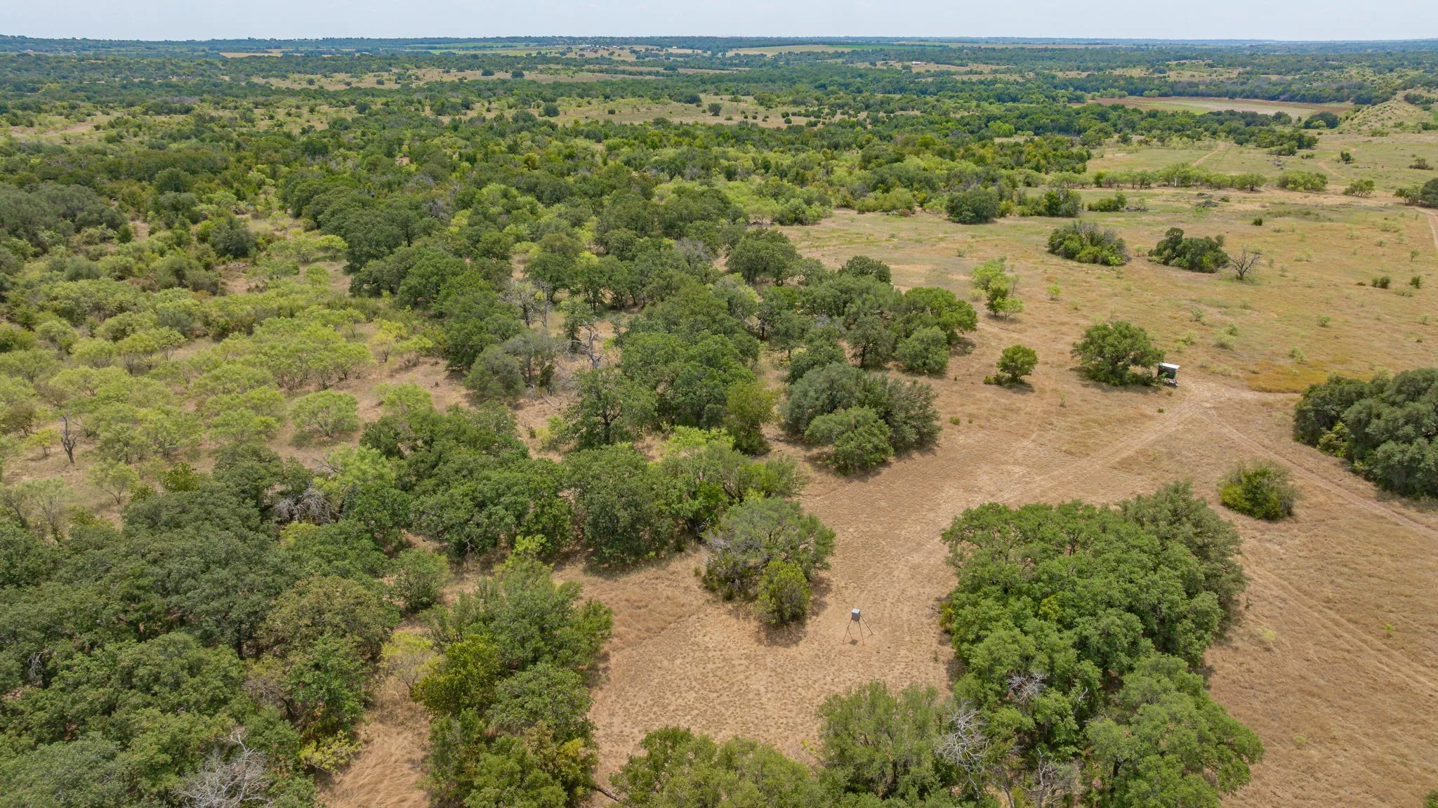 Ranch For Sale in Erath County , TBD County Road 507, Dublin, Texas 76446, 0, 0, Garage spaces, 0 Sqft, built in 0, mls#21348344, Real Estate Agent in Dublin, Homes For Sale in Erath county, Homes For Sale in Dublin, Realtor in Dublin Texas, Real Estate Brokerage Independent Realty Texas, Luminita Cordes Realtor