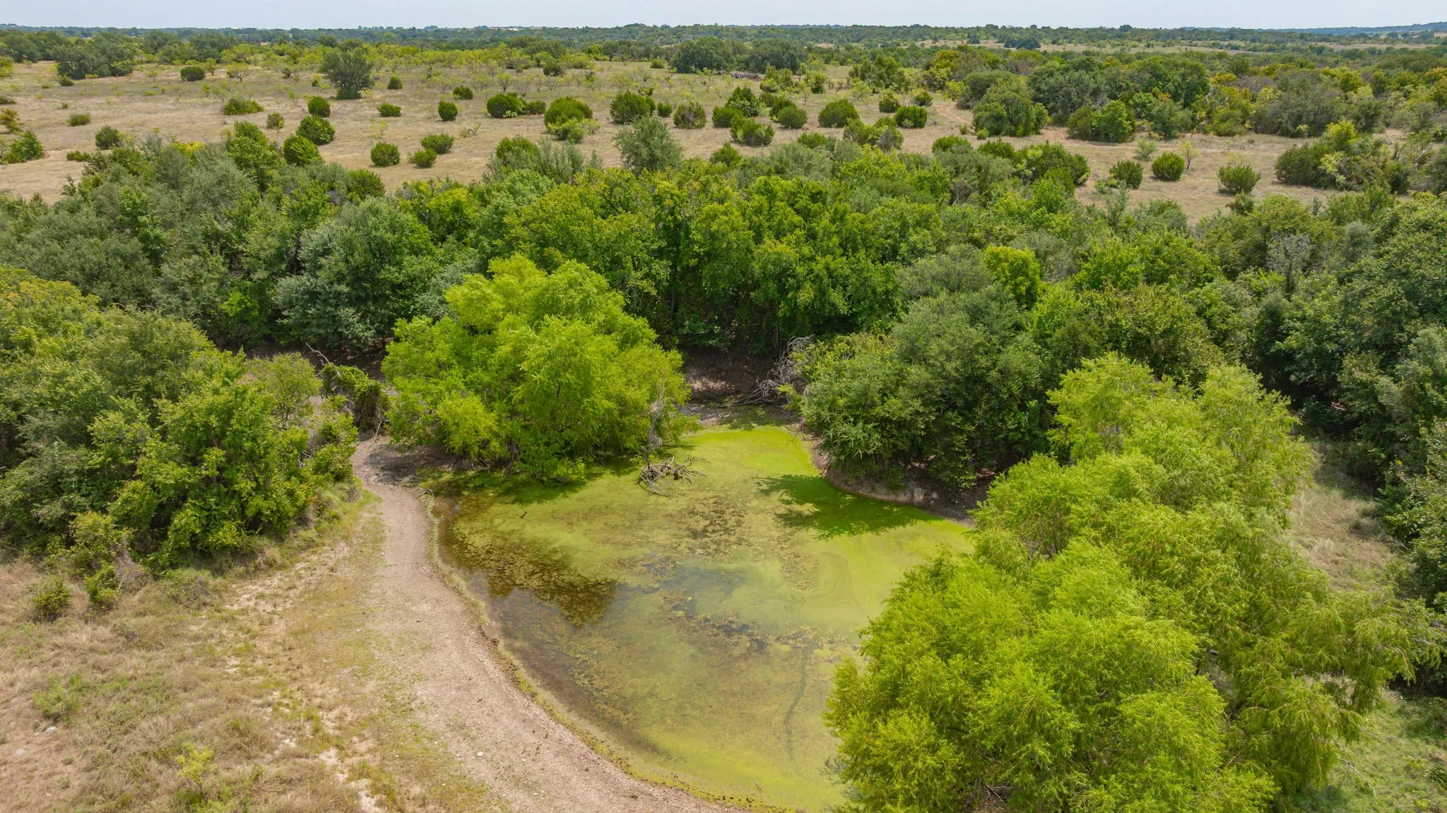 Ranch For Sale in Erath County , TBD County Road 507, Dublin, Texas 76446, 0, 0, Garage spaces, 0 Sqft, built in 0, mls#21348344, Real Estate Agent in Dublin, Homes For Sale in Erath county, Homes For Sale in Dublin, Realtor in Dublin Texas, Real Estate Brokerage Independent Realty Texas, Luminita Cordes Realtor