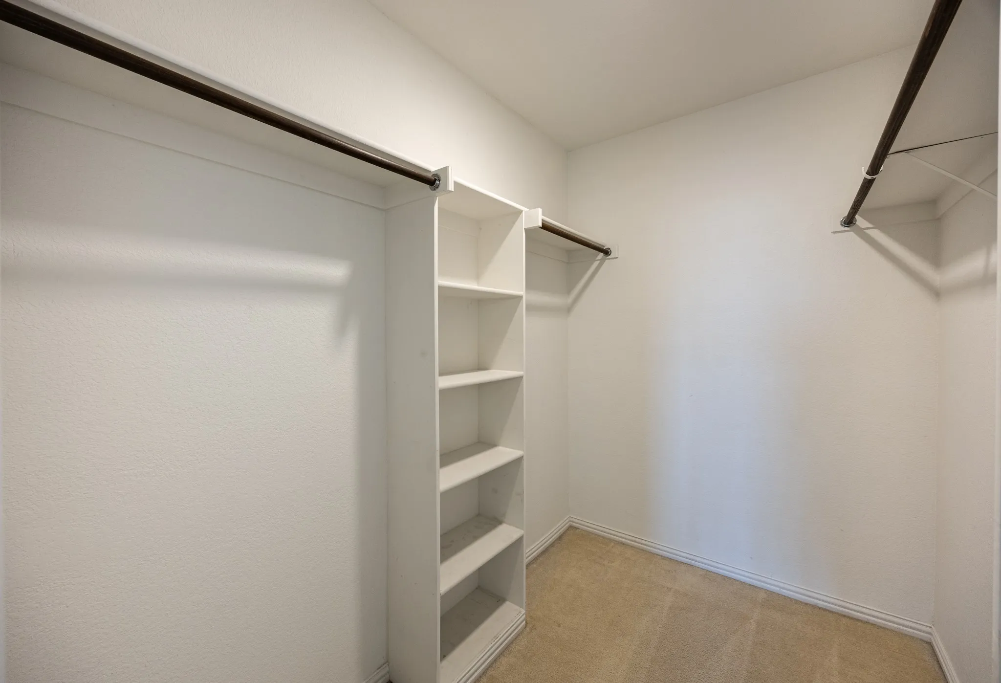 Walk-in closet featuring built-in shelving, two clothing rods, light beige carpeting, and white baseboards