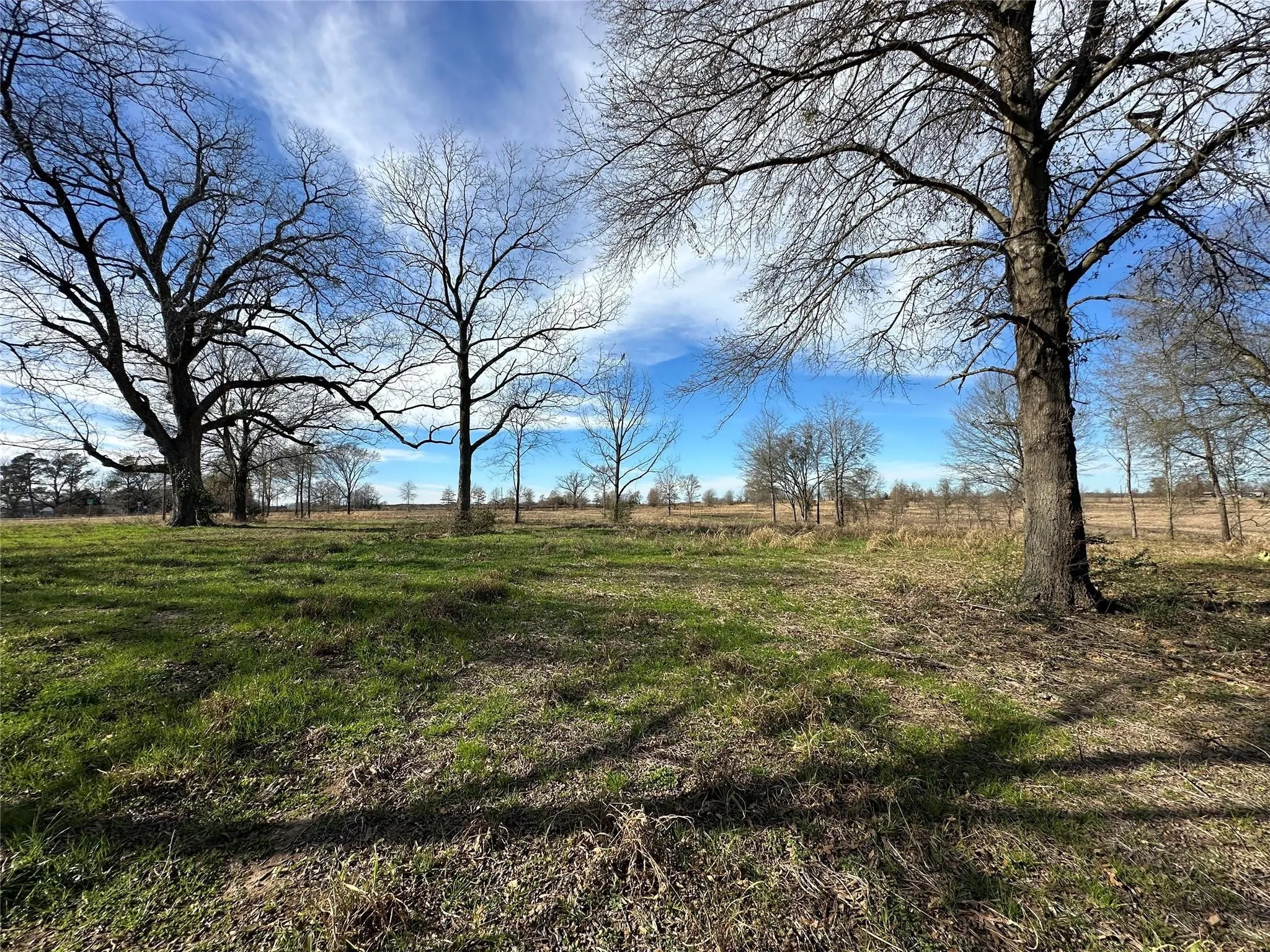 Unimproved Land For Sale in Hopkins County , 0000 County Road 2425, Como, Texas 75431, 0, 0, Garage spaces, 0 Sqft, built in 0, mls#21350814, Real Estate Agent in Como, Homes For Sale in Hopkins county, Homes For Sale in Como, Realtor in Como Texas, Real Estate Brokerage Independent Realty Texas, Luminita Cordes Realtor
