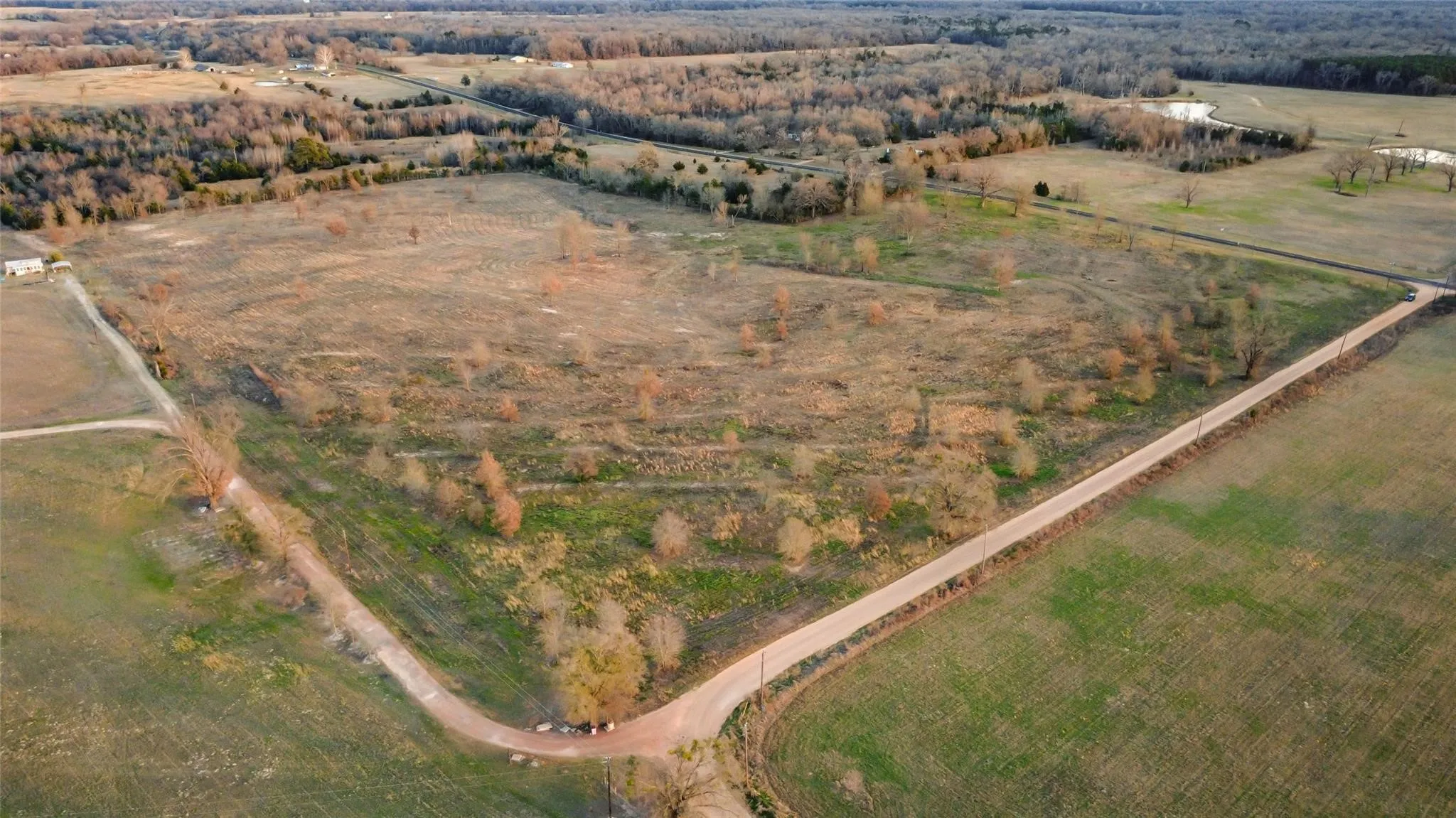 Expansive rural acreage featuring open fields, scattered mature trees, and a winding unpaved road