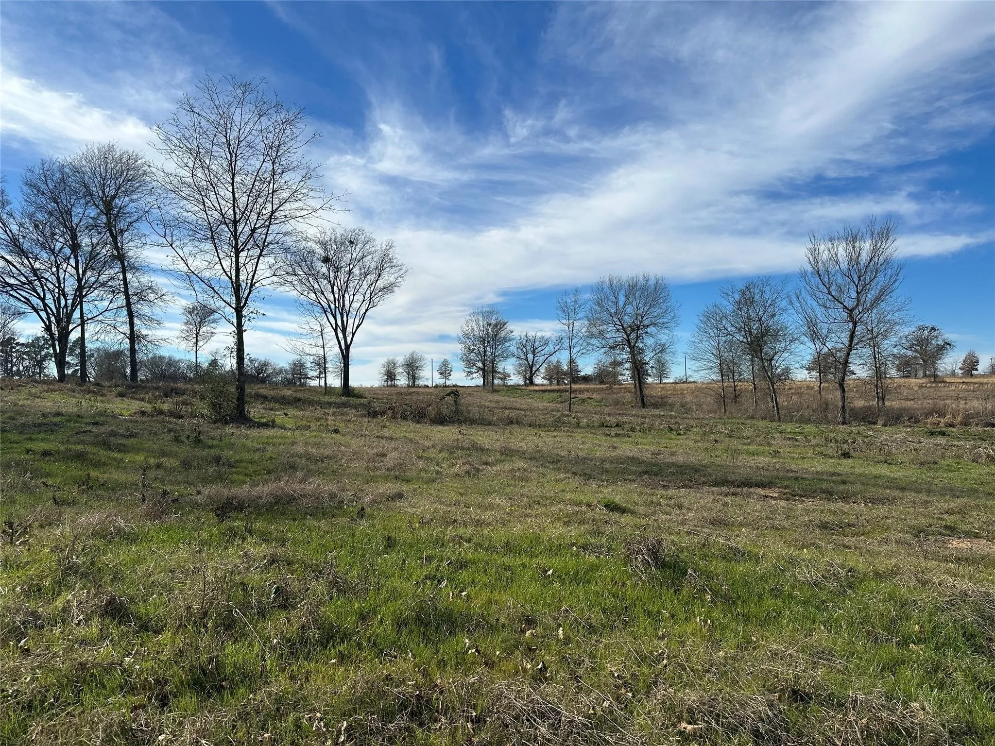 Unimproved Land For Sale in Hopkins County , 0000 County Road 2425, Como, Texas 75431, 0, 0, Garage spaces, 0 Sqft, built in 0, mls#21350814, Real Estate Agent in Como, Homes For Sale in Hopkins county, Homes For Sale in Como, Realtor in Como Texas, Real Estate Brokerage Independent Realty Texas, Luminita Cordes Realtor