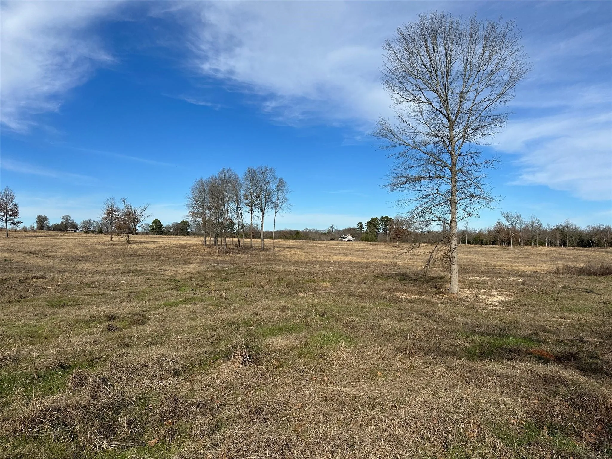 Unimproved Land For Sale in Hopkins County , 0000 County Road 2425, Como, Texas 75431, 0, 0, Garage spaces, 0 Sqft, built in 0, mls#21350814, Real Estate Agent in Como, Homes For Sale in Hopkins county, Homes For Sale in Como, Realtor in Como Texas, Real Estate Brokerage Independent Realty Texas, Luminita Cordes Realtor