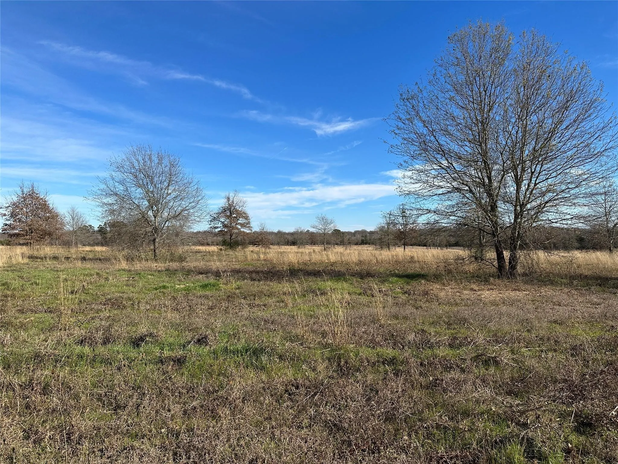 Unimproved Land For Sale in Hopkins County , 0000 County Road 2425, Como, Texas 75431, 0, 0, Garage spaces, 0 Sqft, built in 0, mls#21350814, Real Estate Agent in Como, Homes For Sale in Hopkins county, Homes For Sale in Como, Realtor in Como Texas, Real Estate Brokerage Independent Realty Texas, Luminita Cordes Realtor