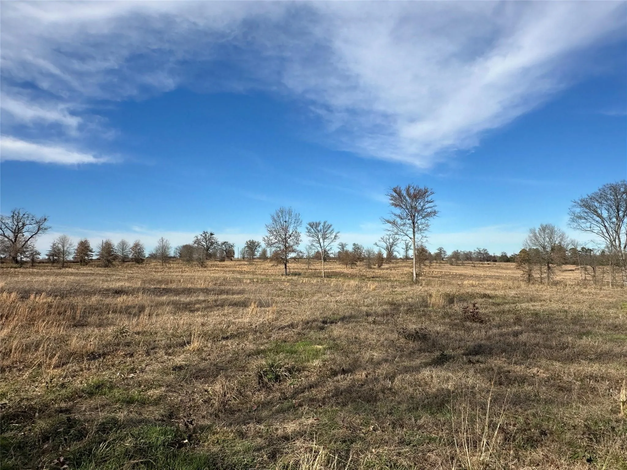 Unimproved Land For Sale in Hopkins County , 0000 County Road 2425, Como, Texas 75431, 0, 0, Garage spaces, 0 Sqft, built in 0, mls#21350814, Real Estate Agent in Como, Homes For Sale in Hopkins county, Homes For Sale in Como, Realtor in Como Texas, Real Estate Brokerage Independent Realty Texas, Luminita Cordes Realtor