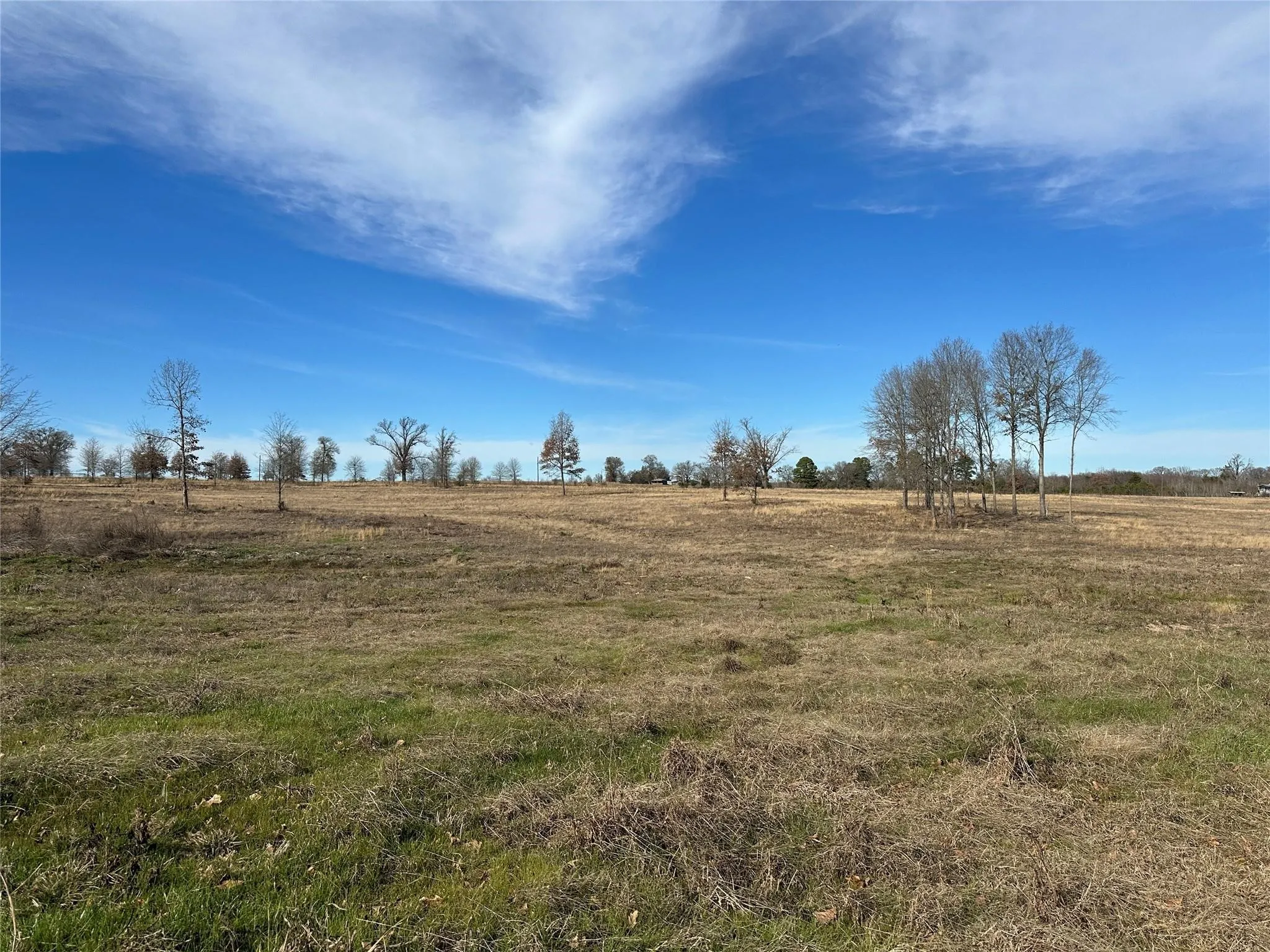 Unimproved Land For Sale in Hopkins County , 0000 County Road 2425, Como, Texas 75431, 0, 0, Garage spaces, 0 Sqft, built in 0, mls#21350814, Real Estate Agent in Como, Homes For Sale in Hopkins county, Homes For Sale in Como, Realtor in Como Texas, Real Estate Brokerage Independent Realty Texas, Luminita Cordes Realtor
