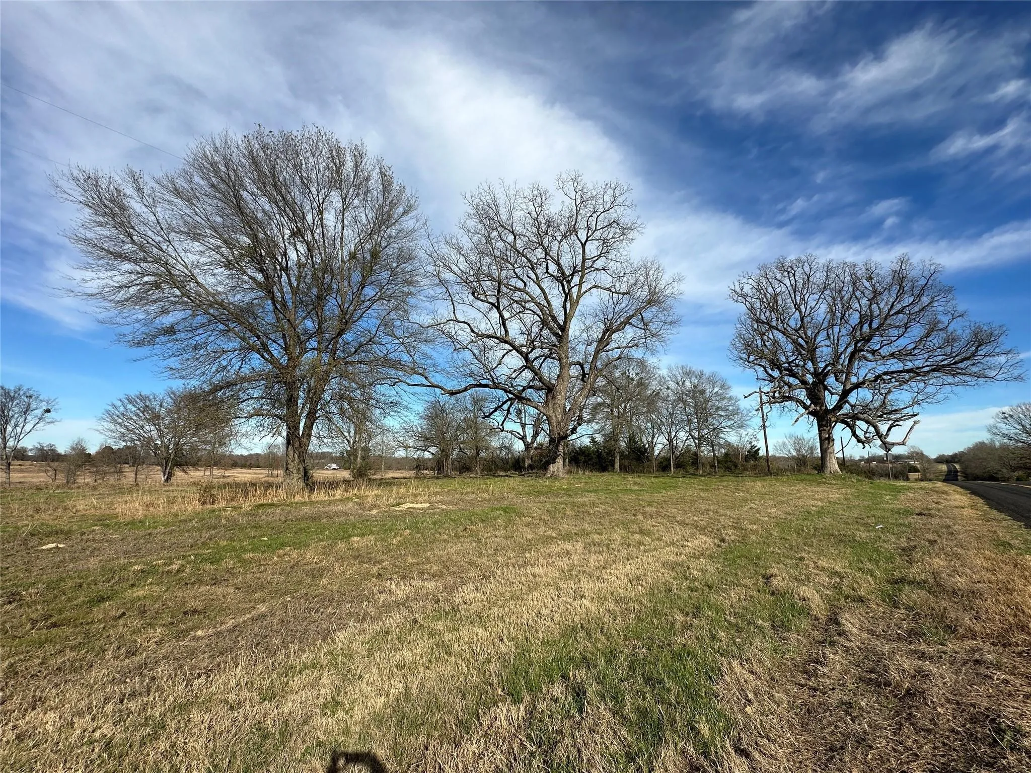 Expansive land parcel featuring mature deciduous trees and partially greened ground cover