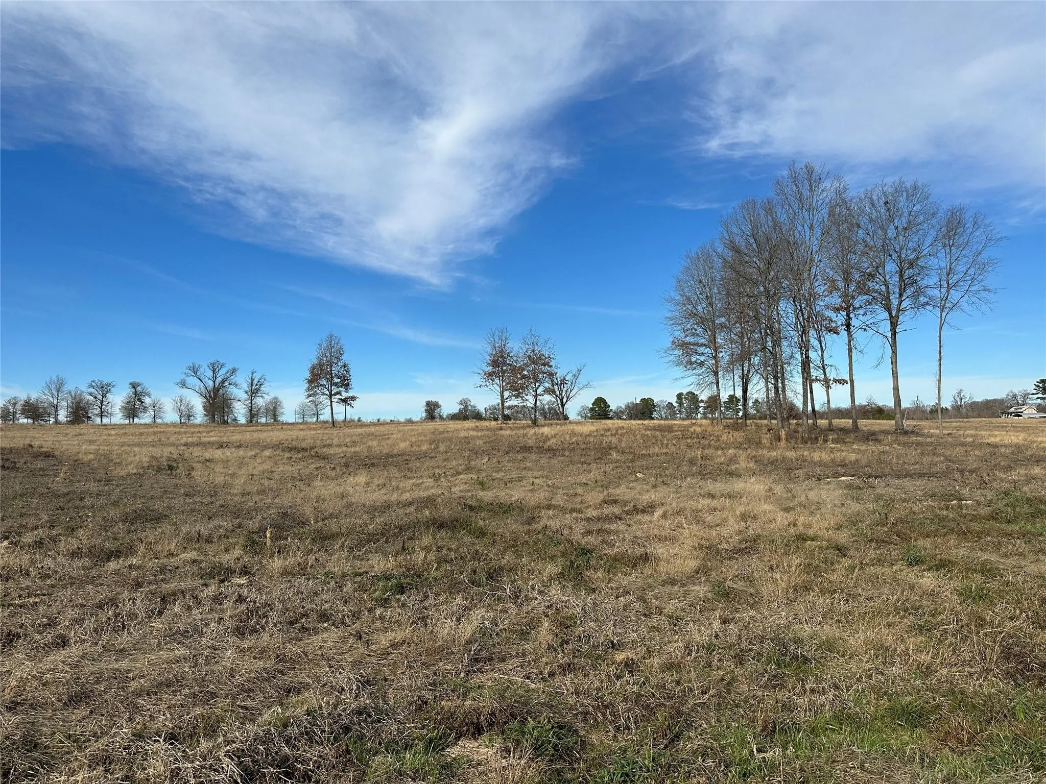 Unimproved Land For Sale in Hopkins County , 0000 County Road 2425, Como, Texas 75431, 0, 0, Garage spaces, 0 Sqft, built in 0, mls#21350814, Real Estate Agent in Como, Homes For Sale in Hopkins county, Homes For Sale in Como, Realtor in Como Texas, Real Estate Brokerage Independent Realty Texas, Luminita Cordes Realtor