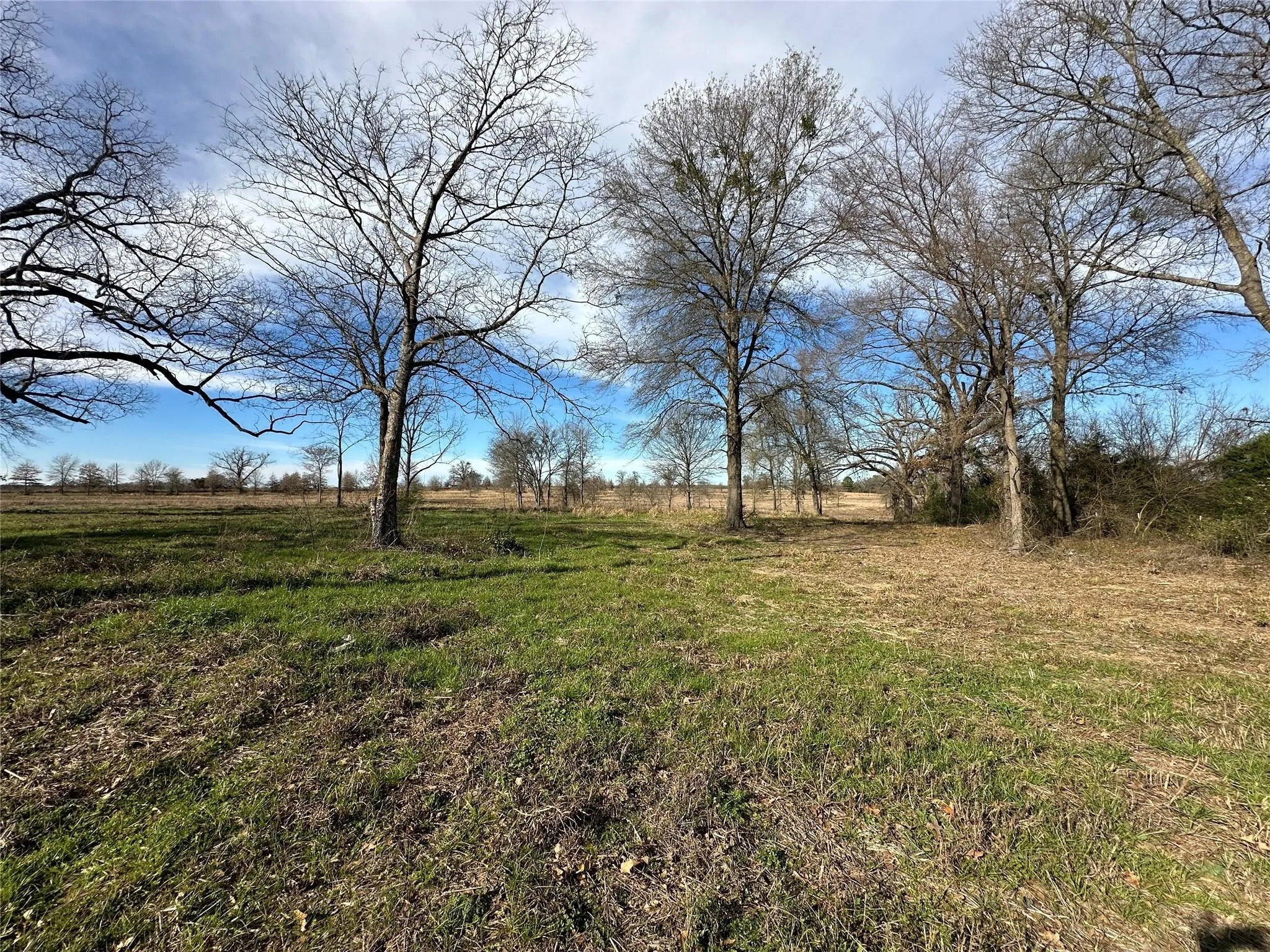 Unimproved Land For Sale in Hopkins County , 0000 County Road 2425, Como, Texas 75431, 0, 0, Garage spaces, 0 Sqft, built in 0, mls#21350814, Real Estate Agent in Como, Homes For Sale in Hopkins county, Homes For Sale in Como, Realtor in Como Texas, Real Estate Brokerage Independent Realty Texas, Luminita Cordes Realtor