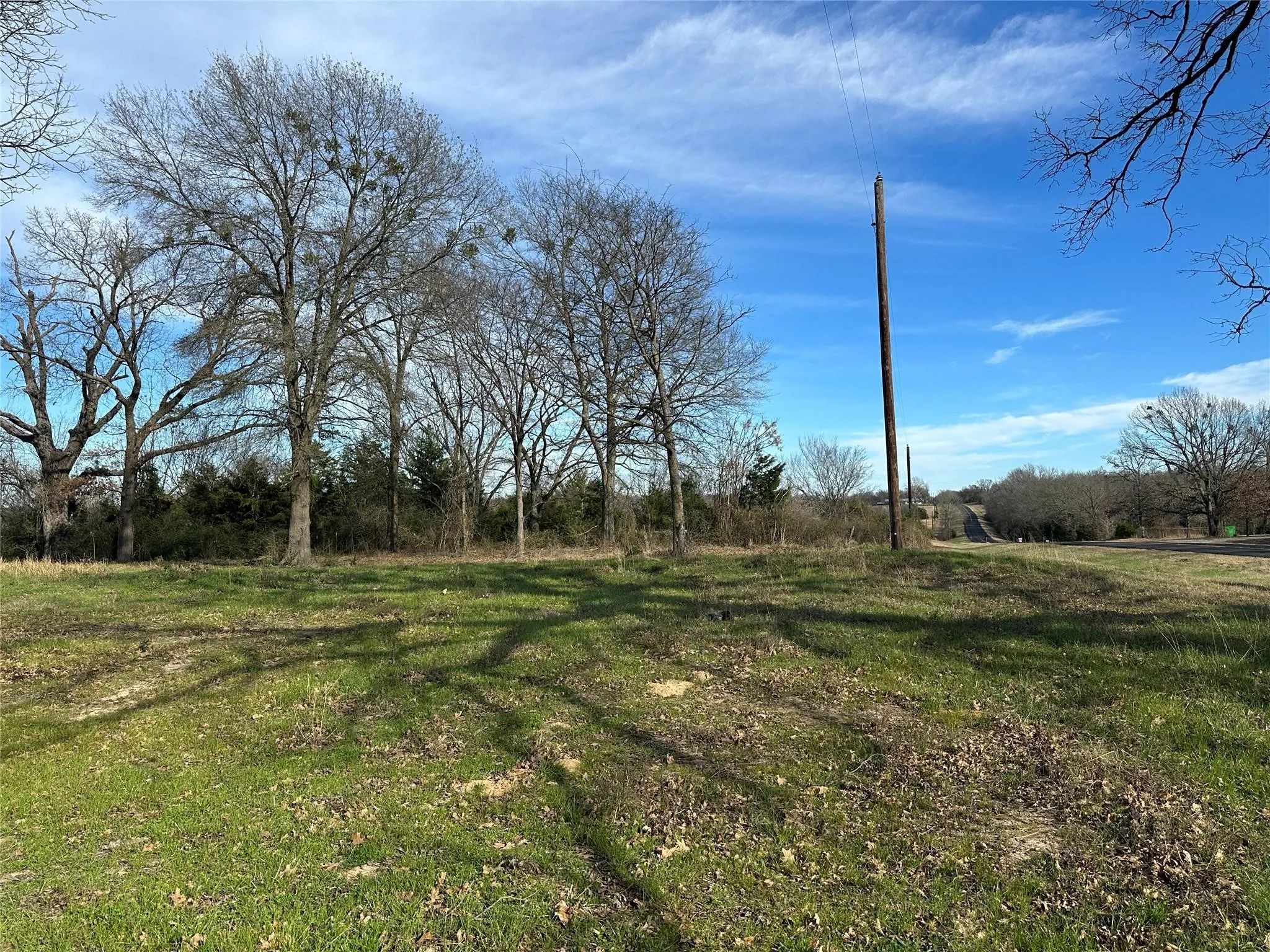 Expansive open land featuring mature deciduous trees and a mix of green grass and dry foliage