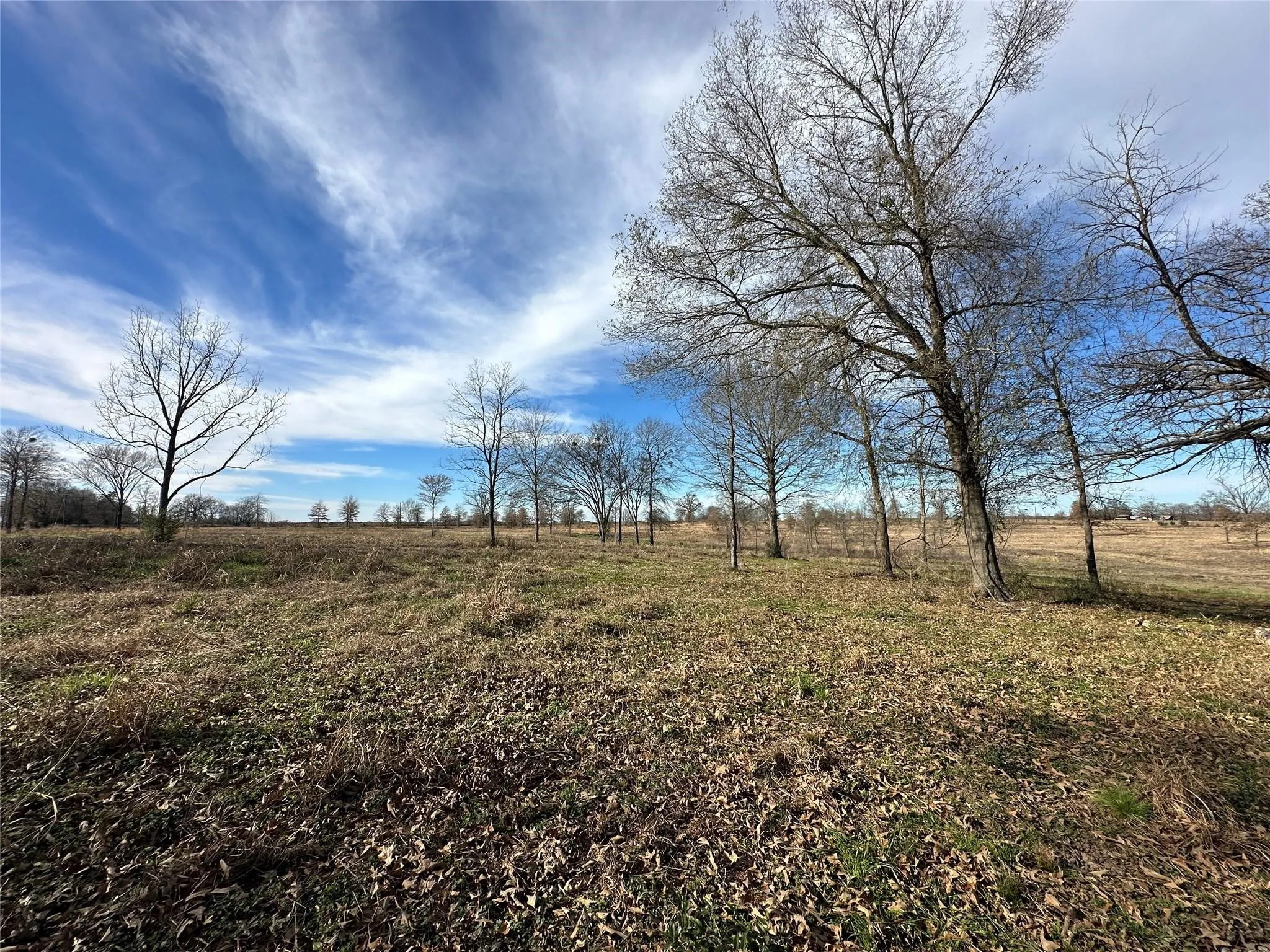 Unimproved Land For Sale in Hopkins County , 0000 County Road 2425, Como, Texas 75431, 0, 0, Garage spaces, 0 Sqft, built in 0, mls#21350814, Real Estate Agent in Como, Homes For Sale in Hopkins county, Homes For Sale in Como, Realtor in Como Texas, Real Estate Brokerage Independent Realty Texas, Luminita Cordes Realtor