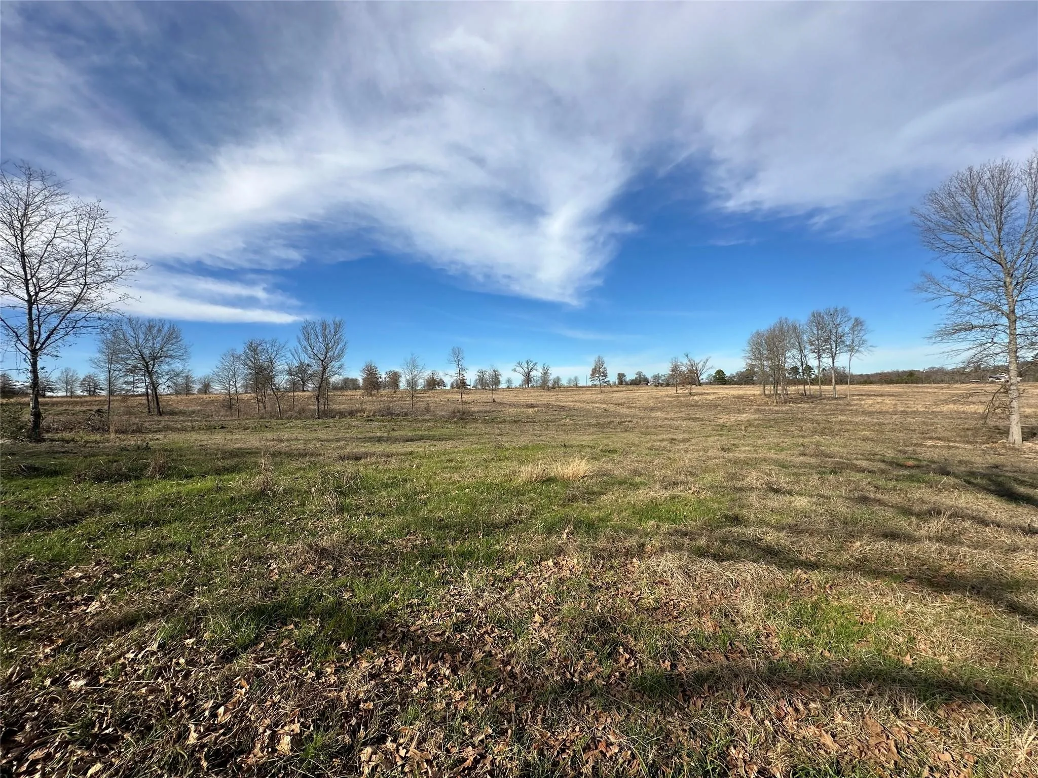 Unimproved Land For Sale in Hopkins County , 0000 County Road 2425, Como, Texas 75431, 0, 0, Garage spaces, 0 Sqft, built in 0, mls#21350814, Real Estate Agent in Como, Homes For Sale in Hopkins county, Homes For Sale in Como, Realtor in Como Texas, Real Estate Brokerage Independent Realty Texas, Luminita Cordes Realtor