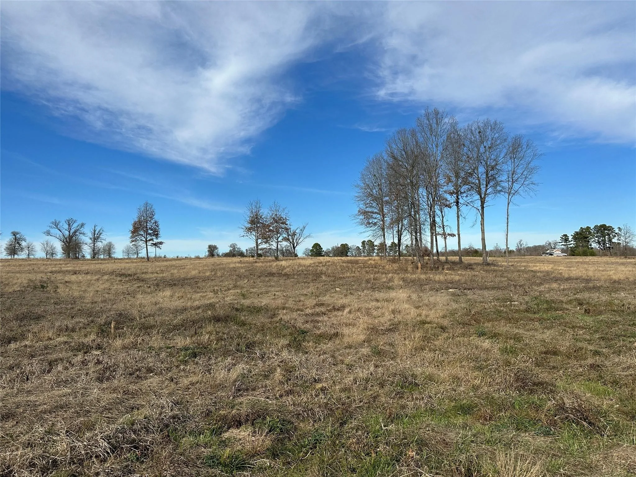 Unimproved Land For Sale in Hopkins County , 0000 County Road 2425, Como, Texas 75431, 0, 0, Garage spaces, 0 Sqft, built in 0, mls#21350814, Real Estate Agent in Como, Homes For Sale in Hopkins county, Homes For Sale in Como, Realtor in Como Texas, Real Estate Brokerage Independent Realty Texas, Luminita Cordes Realtor