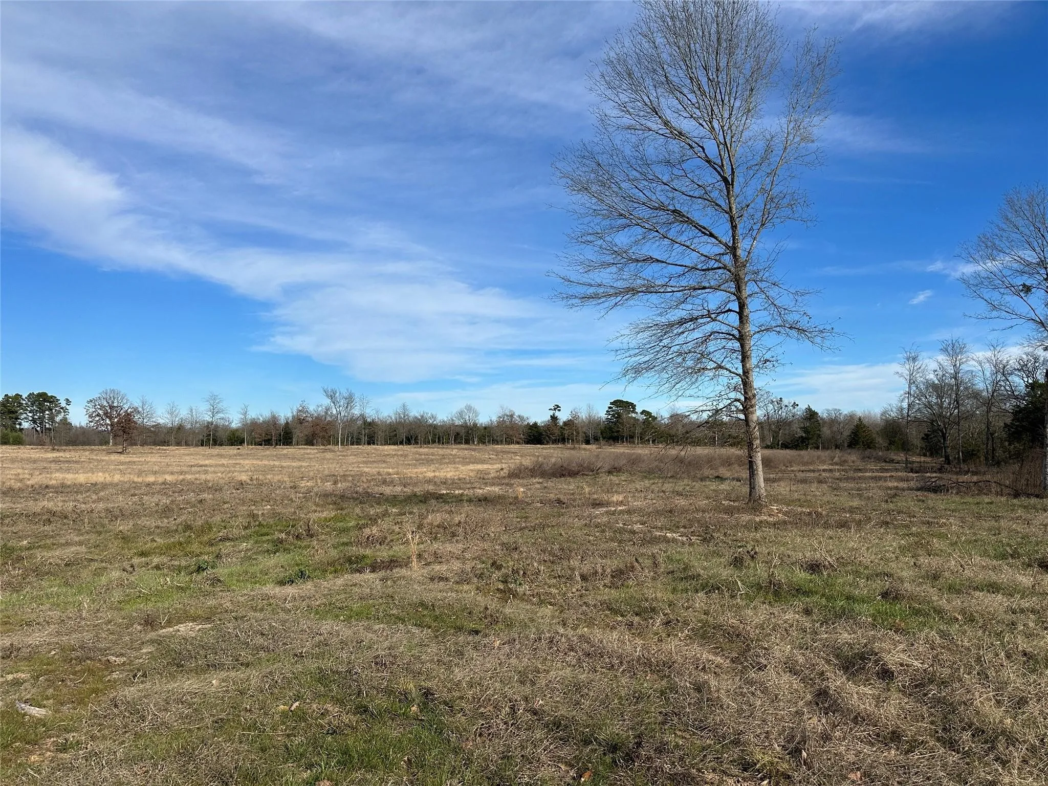 Unimproved Land For Sale in Hopkins County , 0000 County Road 2425, Como, Texas 75431, 0, 0, Garage spaces, 0 Sqft, built in 0, mls#21350814, Real Estate Agent in Como, Homes For Sale in Hopkins county, Homes For Sale in Como, Realtor in Como Texas, Real Estate Brokerage Independent Realty Texas, Luminita Cordes Realtor