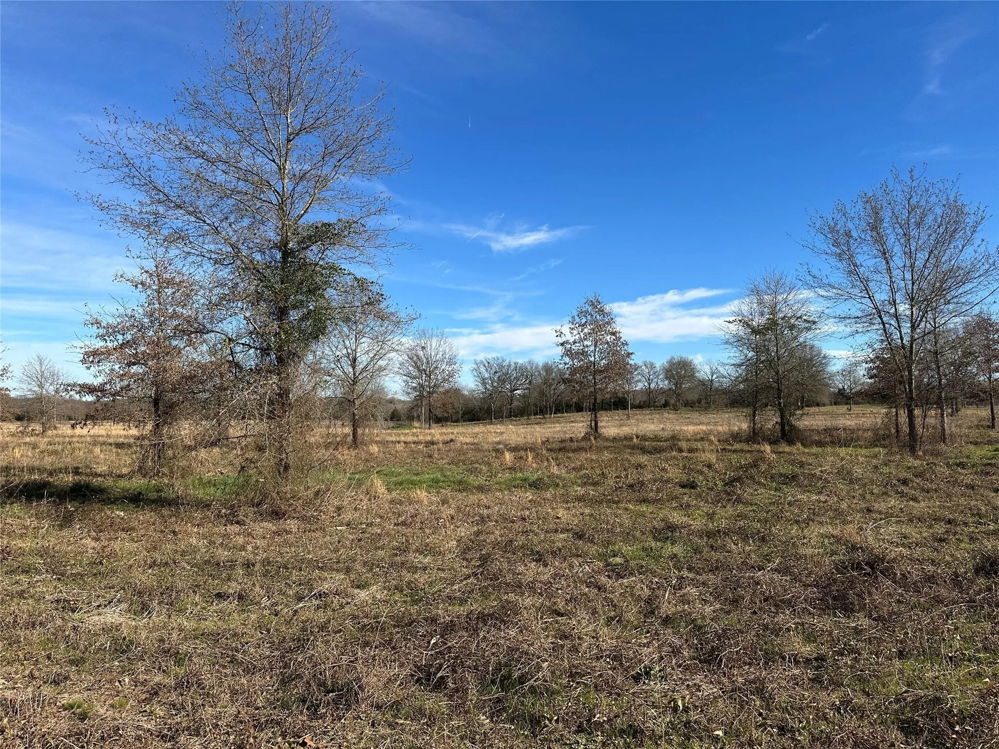 Unimproved Land For Sale in Hopkins County , 0000 County Road 2425, Como, Texas 75431, 0, 0, Garage spaces, 0 Sqft, built in 0, mls#21350814, Real Estate Agent in Como, Homes For Sale in Hopkins county, Homes For Sale in Como, Realtor in Como Texas, Real Estate Brokerage Independent Realty Texas, Luminita Cordes Realtor