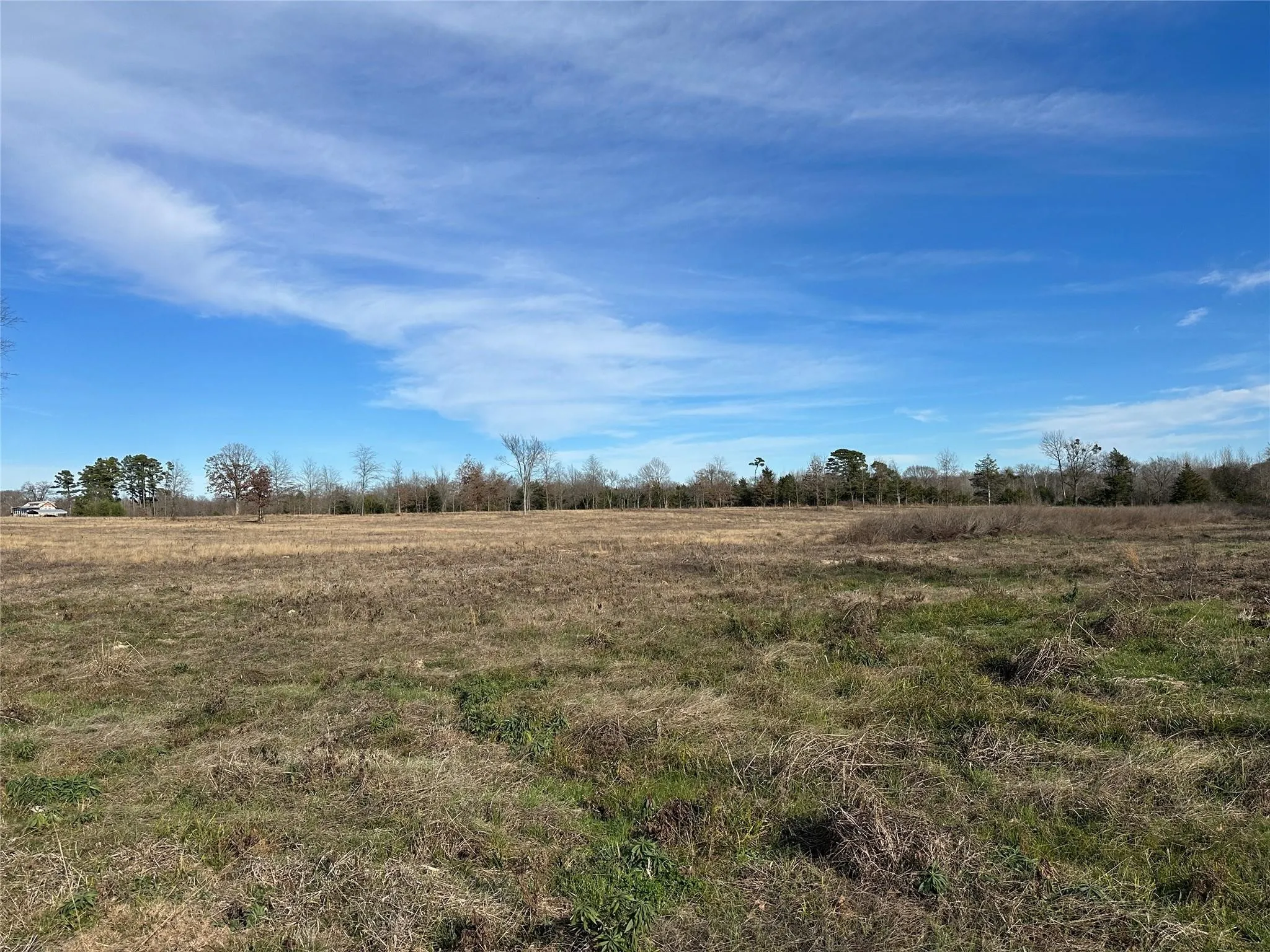 Expansive open field with natural vegetation and distant tree lines