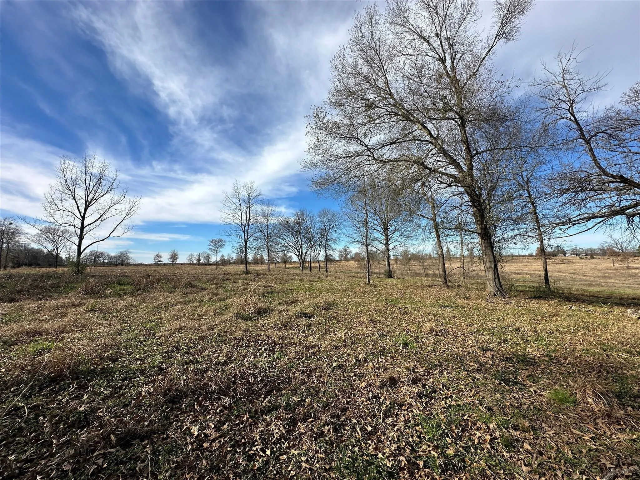 Unimproved Land For Sale in Hopkins County , 0000 County Road 2425, Como, Texas 75431, 0, 0, Garage spaces, 0 Sqft, built in 0, mls#21350814, Real Estate Agent in Como, Homes For Sale in Hopkins county, Homes For Sale in Como, Realtor in Como Texas, Real Estate Brokerage Independent Realty Texas, Luminita Cordes Realtor