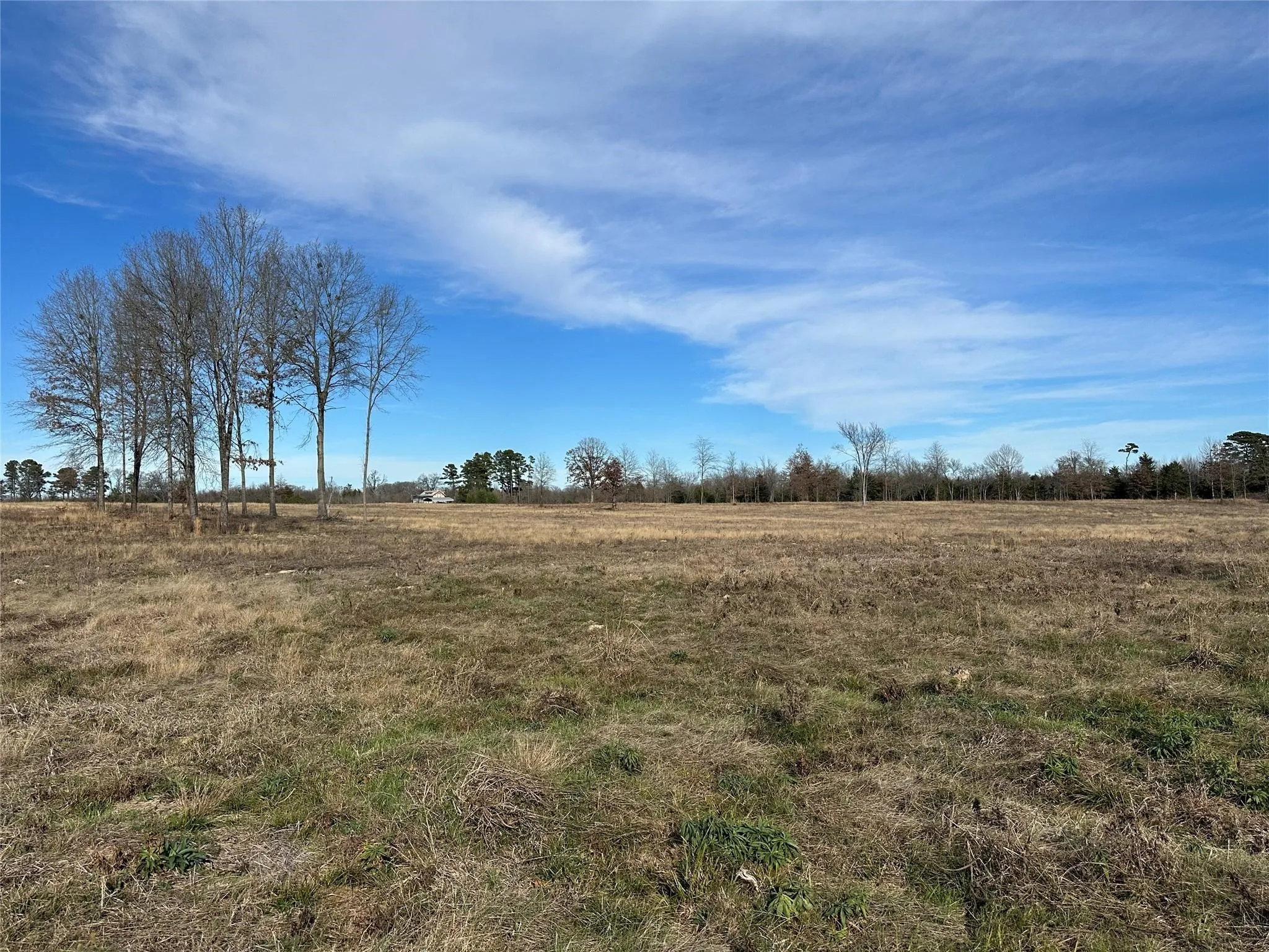 Unimproved Land For Sale in Hopkins County , 0000 County Road 2425, Como, Texas 75431, 0, 0, Garage spaces, 0 Sqft, built in 0, mls#21350814, Real Estate Agent in Como, Homes For Sale in Hopkins county, Homes For Sale in Como, Realtor in Como Texas, Real Estate Brokerage Independent Realty Texas, Luminita Cordes Realtor