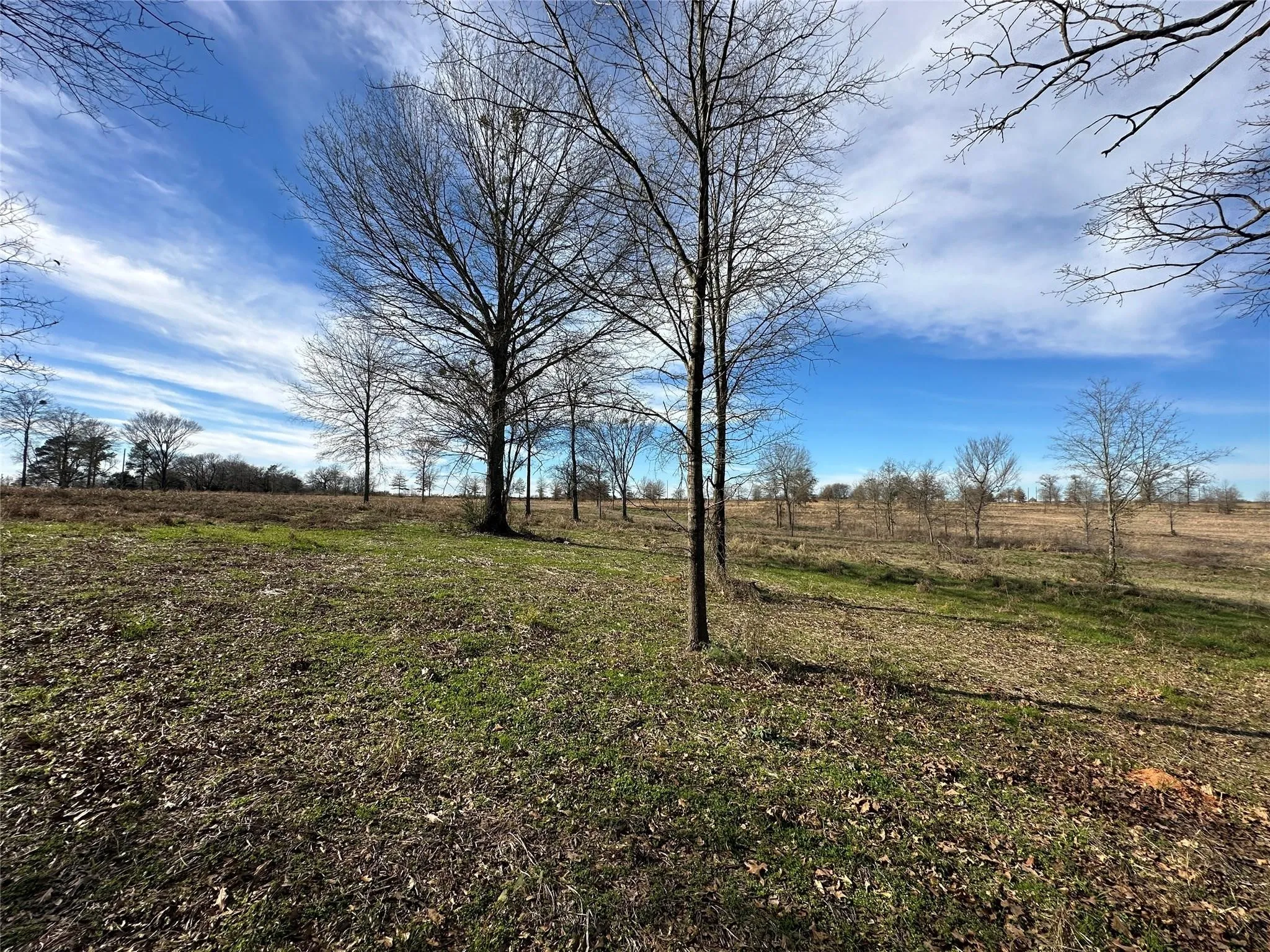 Expansive open acreage featuring scattered mature trees and varied ground cover