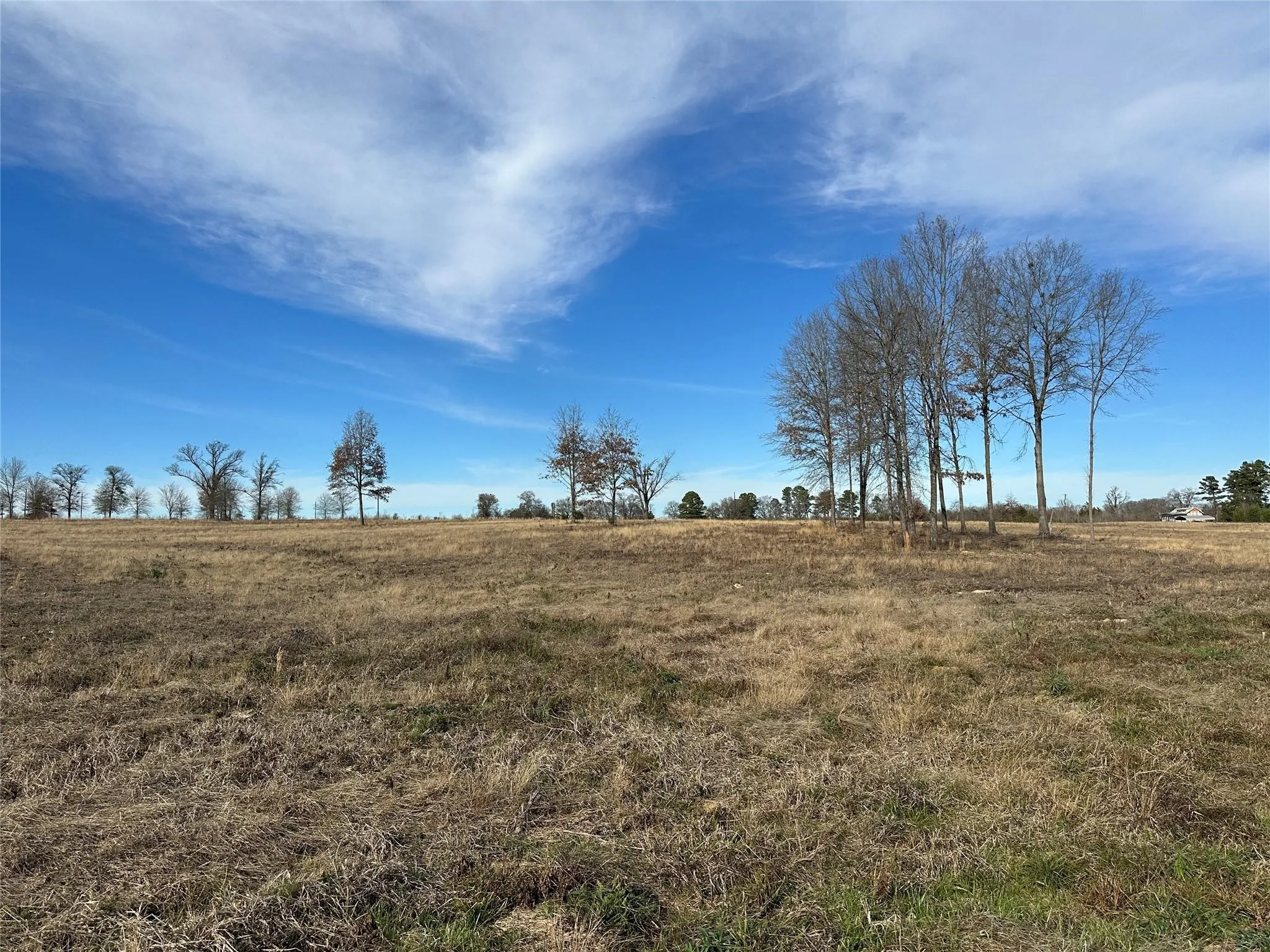 Unimproved Land For Sale in Hopkins County , 0000 County Road 2425, Como, Texas 75431, 0, 0, Garage spaces, 0 Sqft, built in 0, mls#21350814, Real Estate Agent in Como, Homes For Sale in Hopkins county, Homes For Sale in Como, Realtor in Como Texas, Real Estate Brokerage Independent Realty Texas, Luminita Cordes Realtor