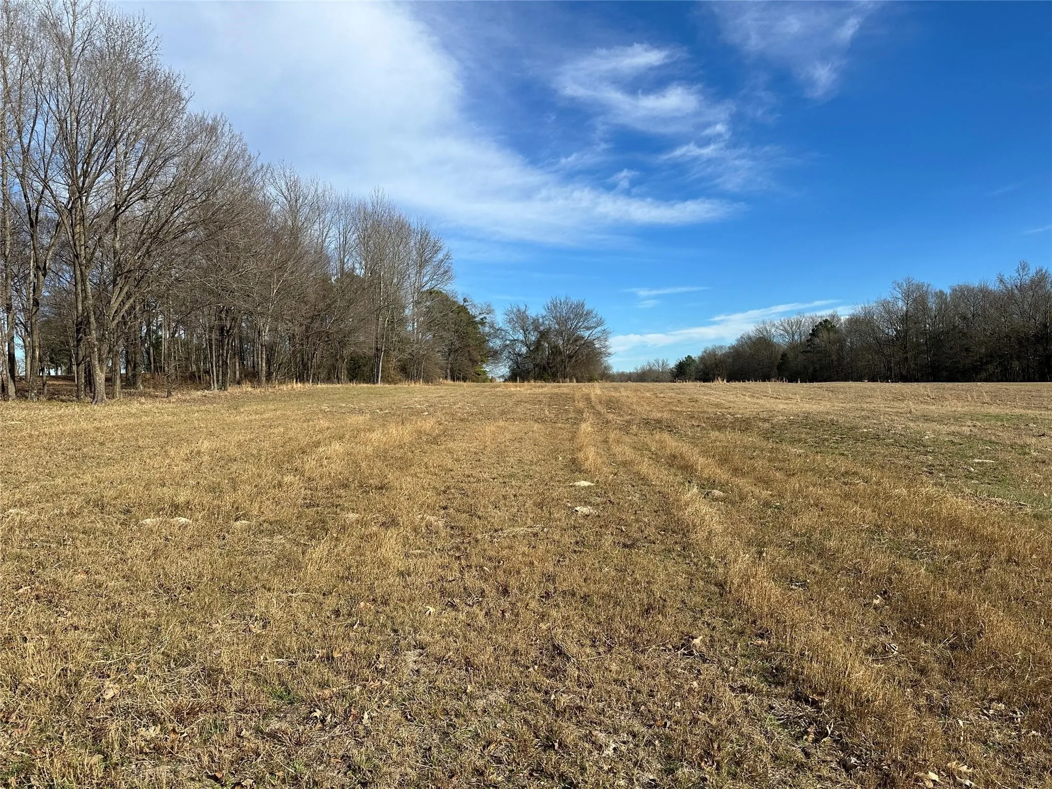 Unimproved Land For Sale in Hopkins County , 0000 Fm-2948 Road, Como, Texas 75431, 0, 0, Garage spaces, 0 Sqft, built in 0, mls#21350828, Real Estate Agent in Como, Homes For Sale in Hopkins county, Homes For Sale in Como, Realtor in Como Texas, Real Estate Brokerage Independent Realty Texas, Luminita Cordes Realtor