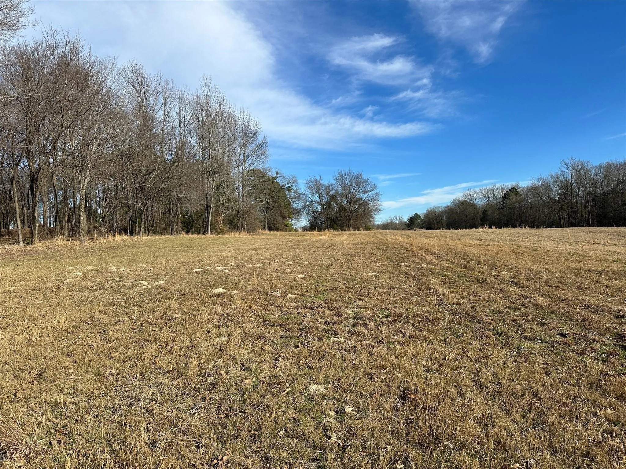 Expansive open field with natural wooded perimeter
