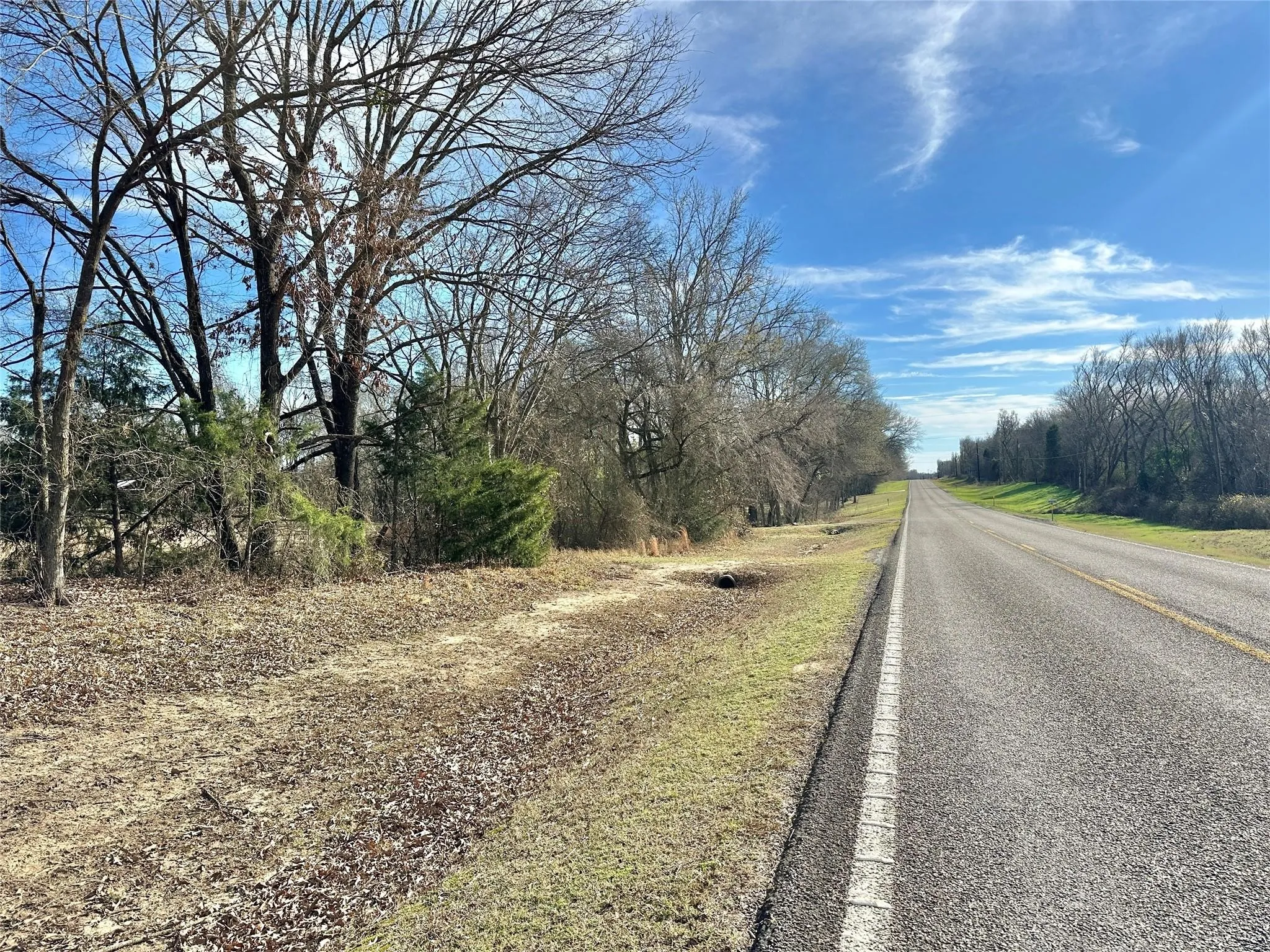 Expansive parcel featuring mature trees, natural ground cover, and frontage along a paved road