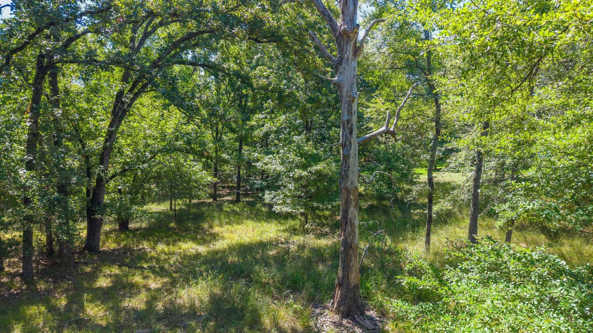 Unimproved Land For Sale in Rains County , TBD 3401, Emory, Texas 75440, 0, 0, Garage spaces, 0 Sqft, built in 0, Price $225,000, mls#21349680, Real Estate Agent in Emory, Homes For Sale in Rains county, Homes For Sale in Emory, Realtor in Emory Texas, Real Estate Brokerage Independent Realty Texas, Luminita Cordes Realtor