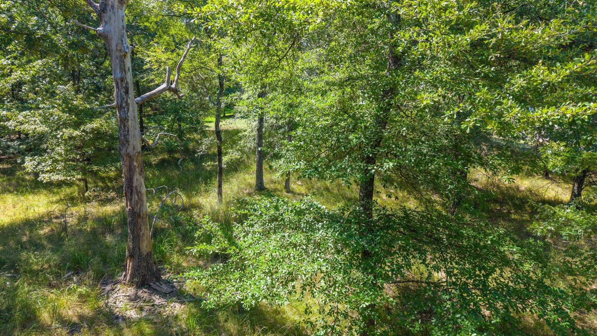 Unimproved Land For Sale in Rains County , TBD 3401, Emory, Texas 75440, 0, 0, Garage spaces, 0 Sqft, built in 0, Price $225,000, mls#21349680, Real Estate Agent in Emory, Homes For Sale in Rains county, Homes For Sale in Emory, Realtor in Emory Texas, Real Estate Brokerage Independent Realty Texas, Luminita Cordes Realtor