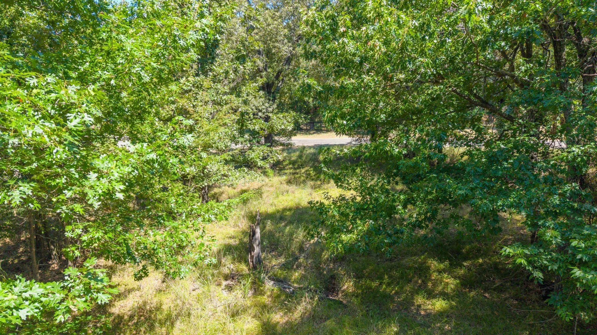 Unimproved Land For Sale in Rains County , TBD 3401, Emory, Texas 75440, 0, 0, Garage spaces, 0 Sqft, built in 0, Price $225,000, mls#21349680, Real Estate Agent in Emory, Homes For Sale in Rains county, Homes For Sale in Emory, Realtor in Emory Texas, Real Estate Brokerage Independent Realty Texas, Luminita Cordes Realtor