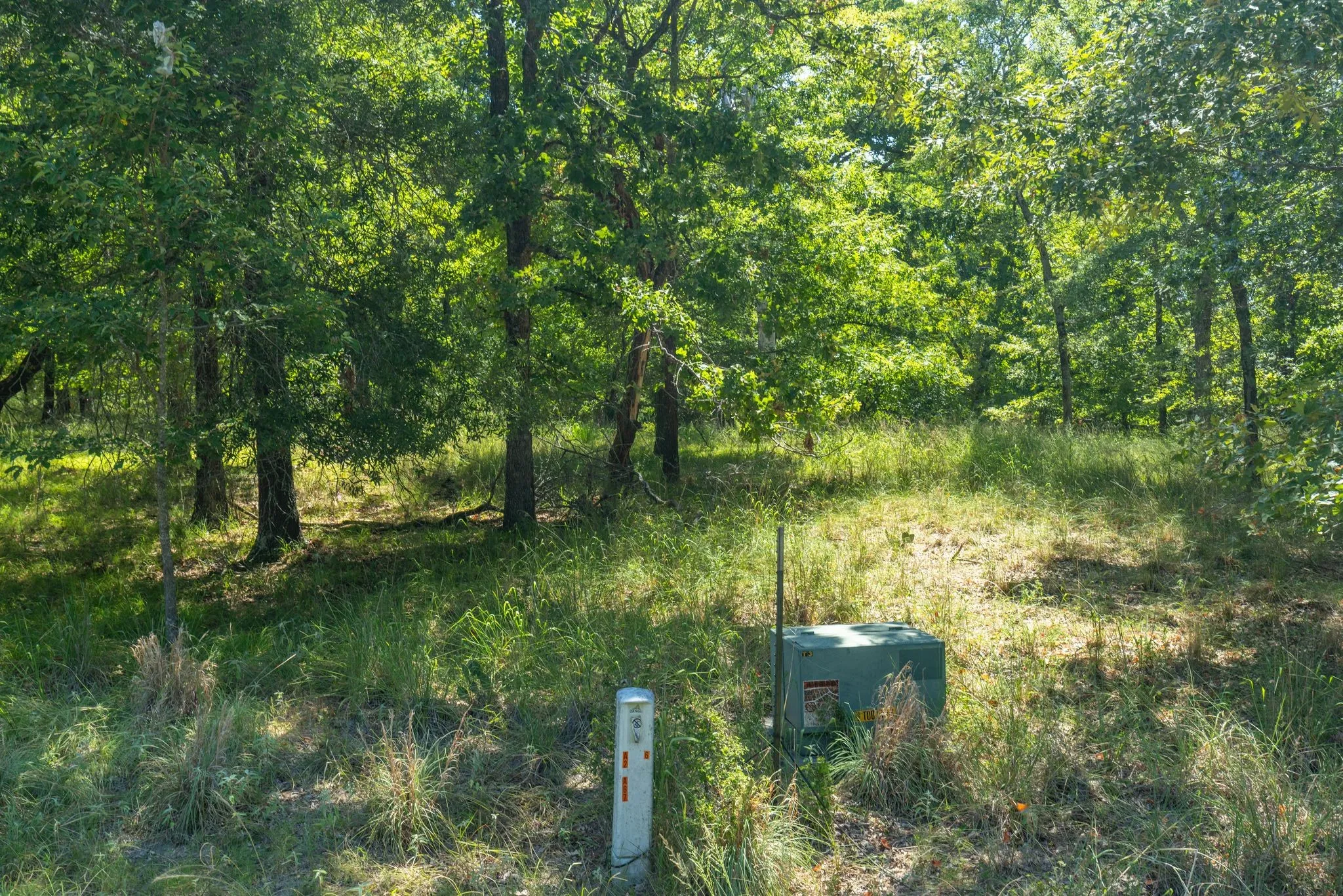 Unimproved Land For Sale in Rains County , TBD 3401, Emory, Texas 75440, 0, 0, Garage spaces, 0 Sqft, built in 0, Price $225,000, mls#21349680, Real Estate Agent in Emory, Homes For Sale in Rains county, Homes For Sale in Emory, Realtor in Emory Texas, Real Estate Brokerage Independent Realty Texas, Luminita Cordes Realtor