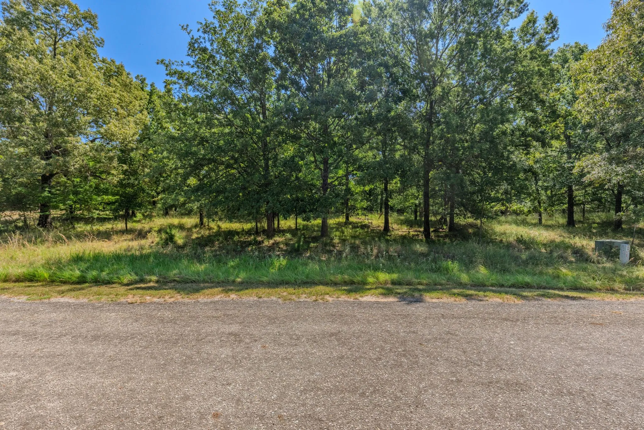 Unimproved Land For Sale in Rains County , TBD 3401, Emory, Texas 75440, 0, 0, Garage spaces, 0 Sqft, built in 0, Price $225,000, mls#21349680, Real Estate Agent in Emory, Homes For Sale in Rains county, Homes For Sale in Emory, Realtor in Emory Texas, Real Estate Brokerage Independent Realty Texas, Luminita Cordes Realtor