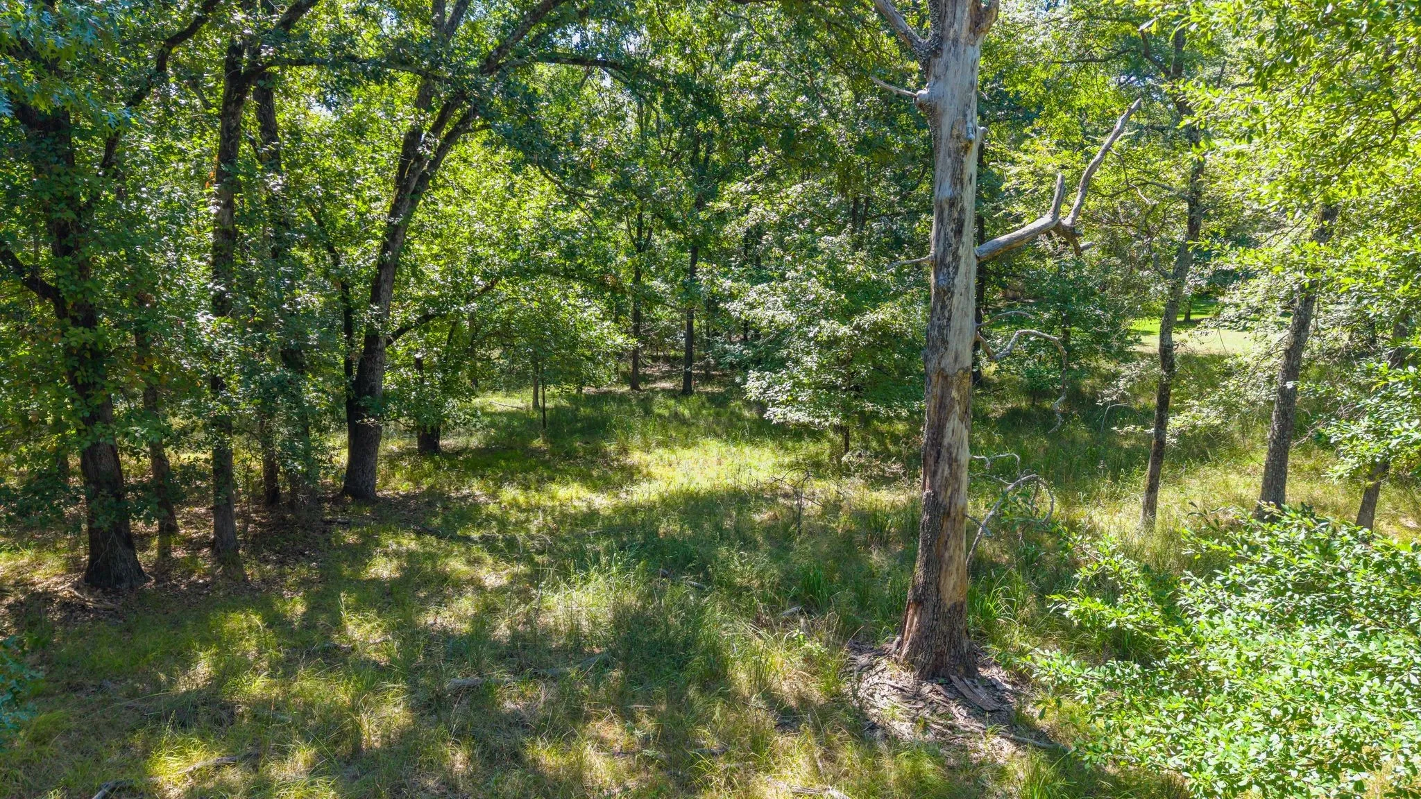 Unimproved Land For Sale in Rains County , TBD 3401, Emory, Texas 75440, 0, 0, Garage spaces, 0 Sqft, built in 0, Price $225,000, mls#21349680, Real Estate Agent in Emory, Homes For Sale in Rains county, Homes For Sale in Emory, Realtor in Emory Texas, Real Estate Brokerage Independent Realty Texas, Luminita Cordes Realtor