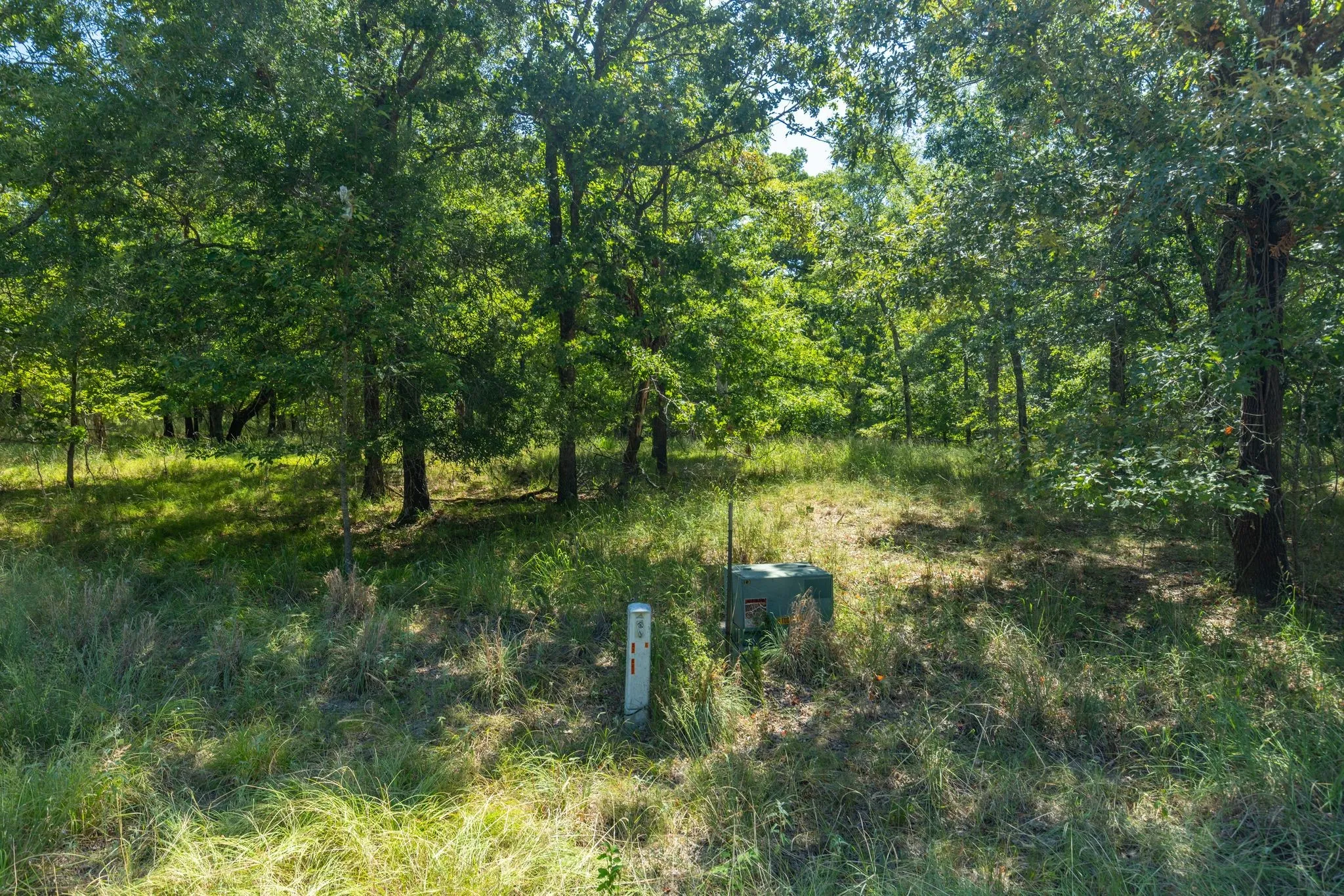 Unimproved Land For Sale in Rains County , TBD 3401, Emory, Texas 75440, 0, 0, Garage spaces, 0 Sqft, built in 0, Price $225,000, mls#21349680, Real Estate Agent in Emory, Homes For Sale in Rains county, Homes For Sale in Emory, Realtor in Emory Texas, Real Estate Brokerage Independent Realty Texas, Luminita Cordes Realtor