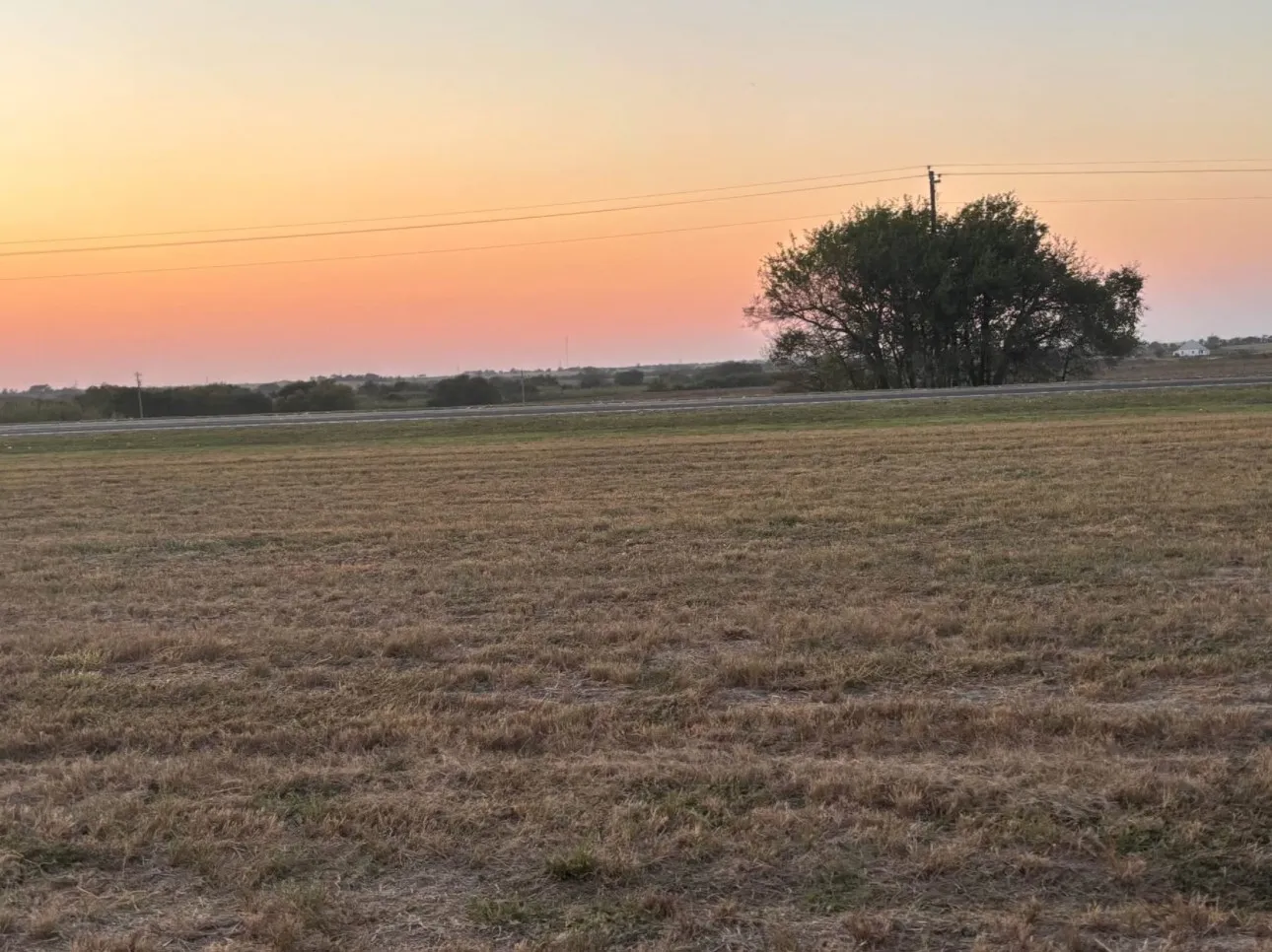 Unimproved Land For Sale in Hill County , TBD Fm 308 (3rd, Mount Calm, Texas 76673, 0, 0, Garage spaces, 0 Sqft, built in 0, mls#21350839, Real Estate Agent in Mount Calm, Homes For Sale in Hill county, Homes For Sale in Mount Calm, Realtor in Mount Calm Texas, Real Estate Brokerage Independent Realty Texas, Luminita Cordes Realtor