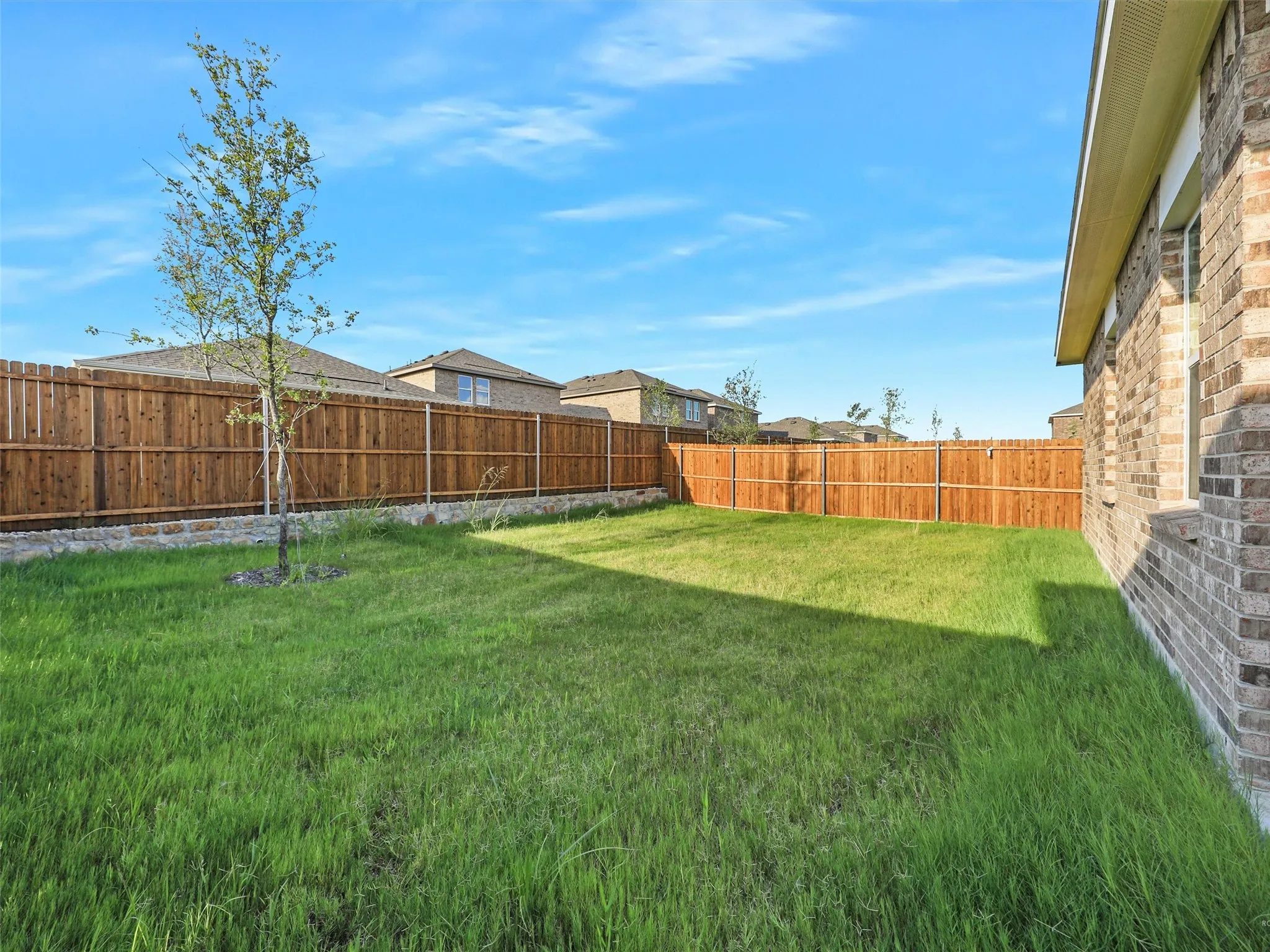 Expansive green lawn with a newly installed wood privacy fence, featuring a young tree